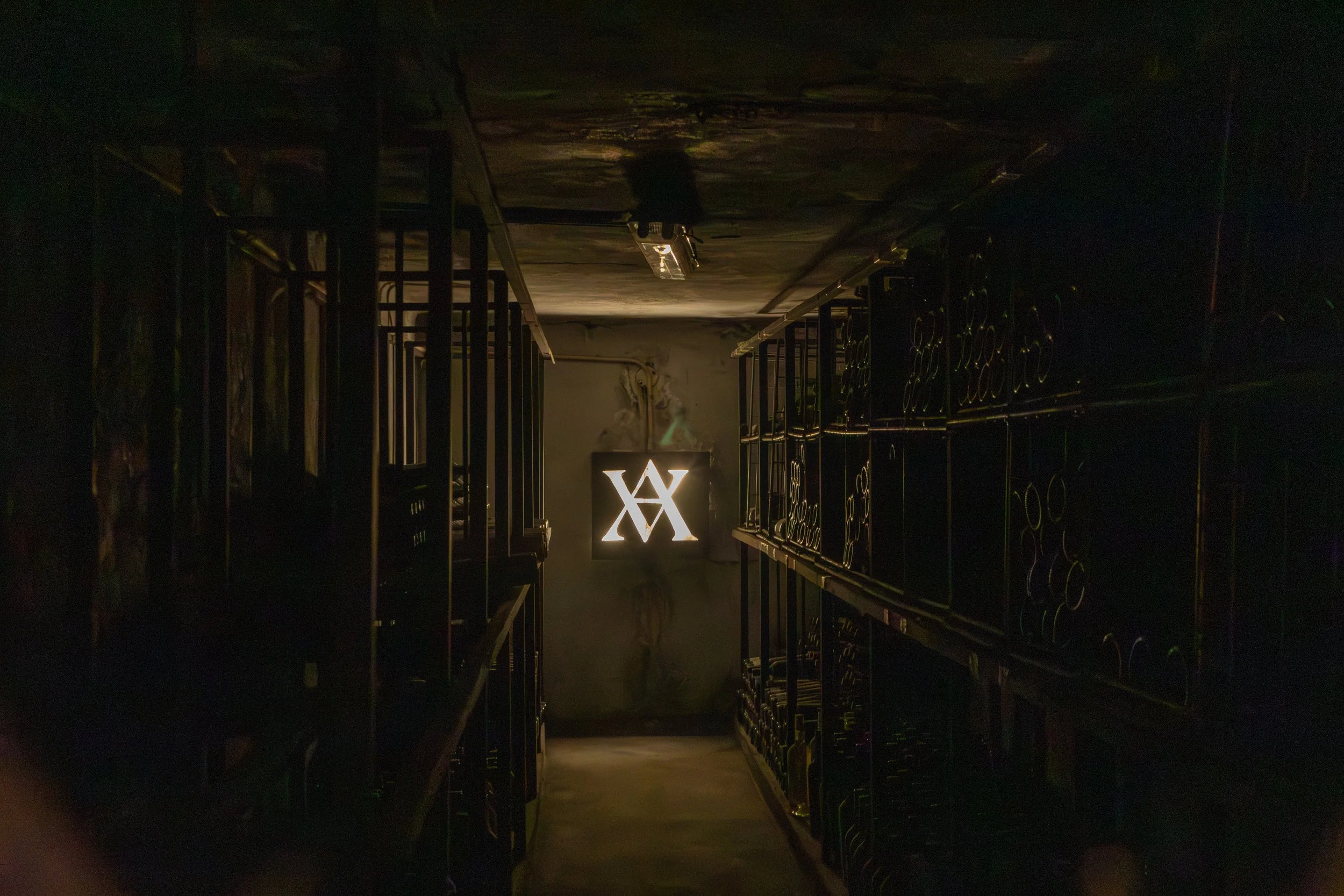  Altavista logo on the walls of the cellar 