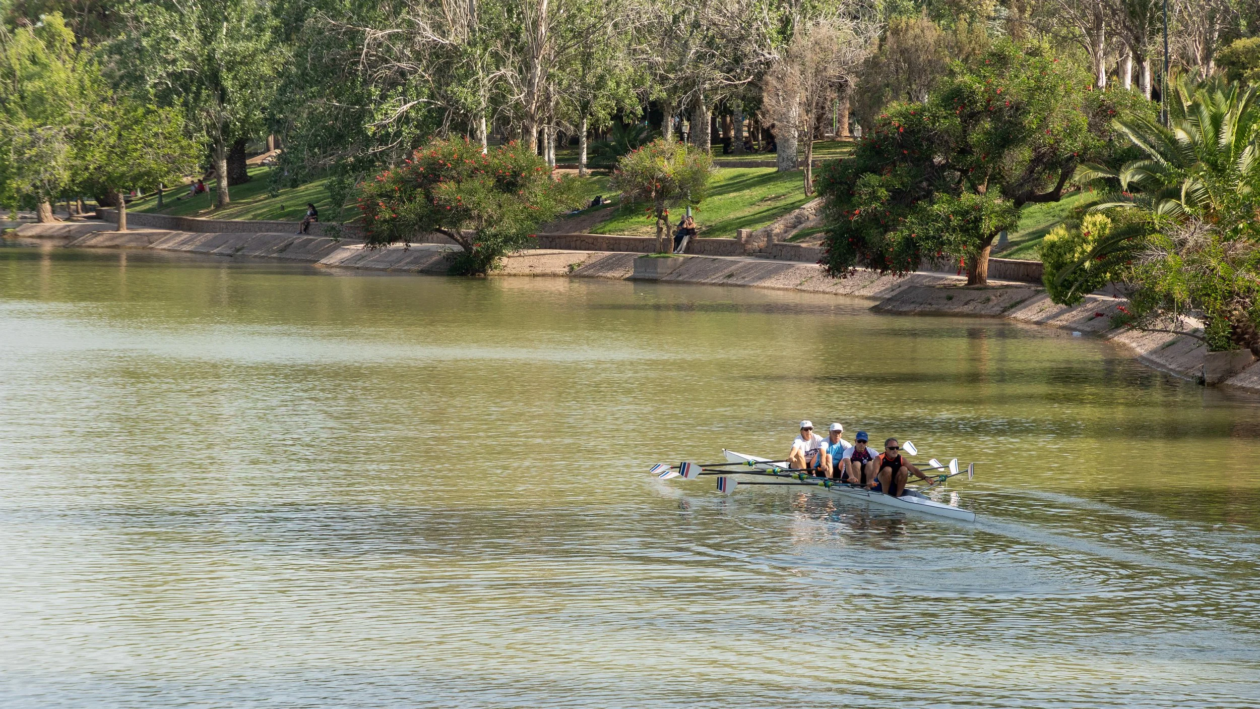  Rowers getting some practice in on a nice Saturday evening 