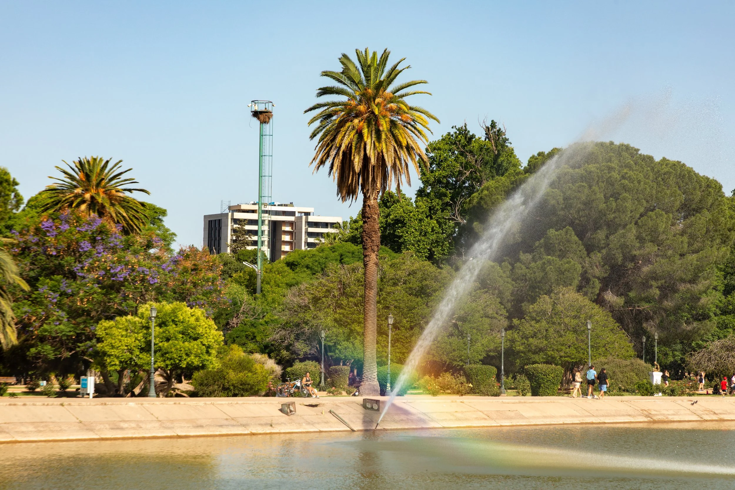  Looking back at the expansive park 