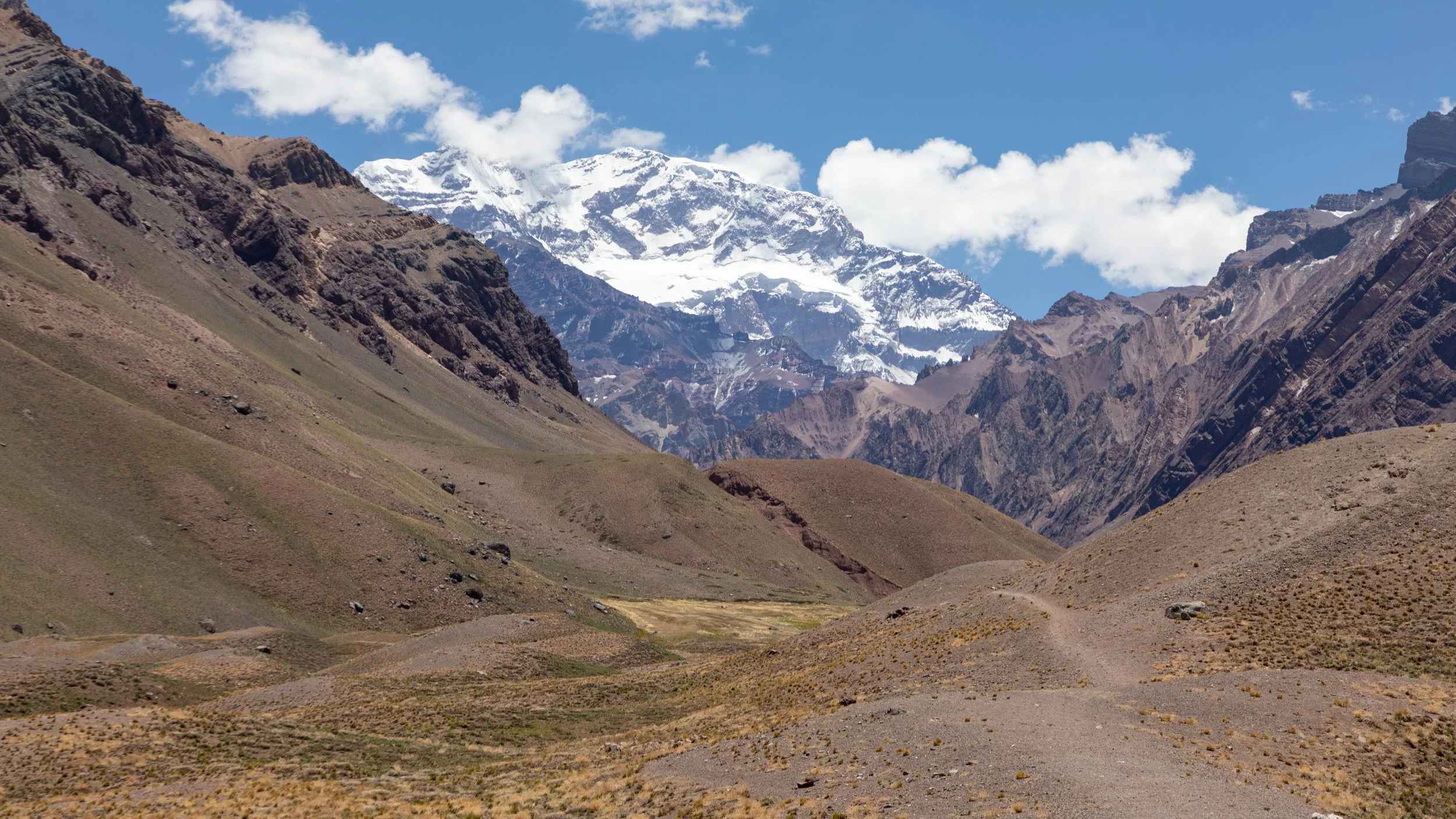  The Andes mountain view is the highlight of the park  