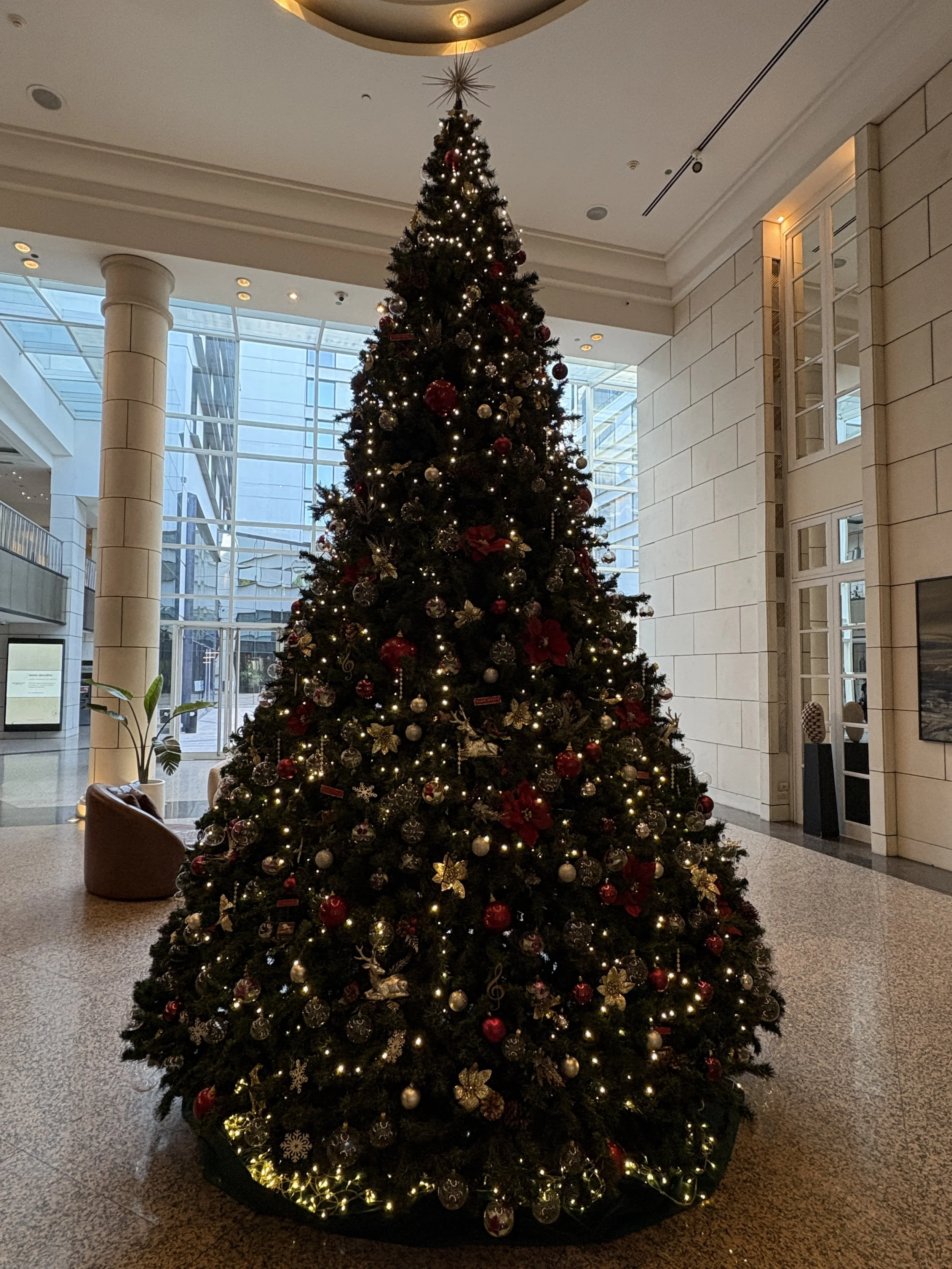  Back in Mendoza, the lobby of our hotel, now ready for the holidays  
