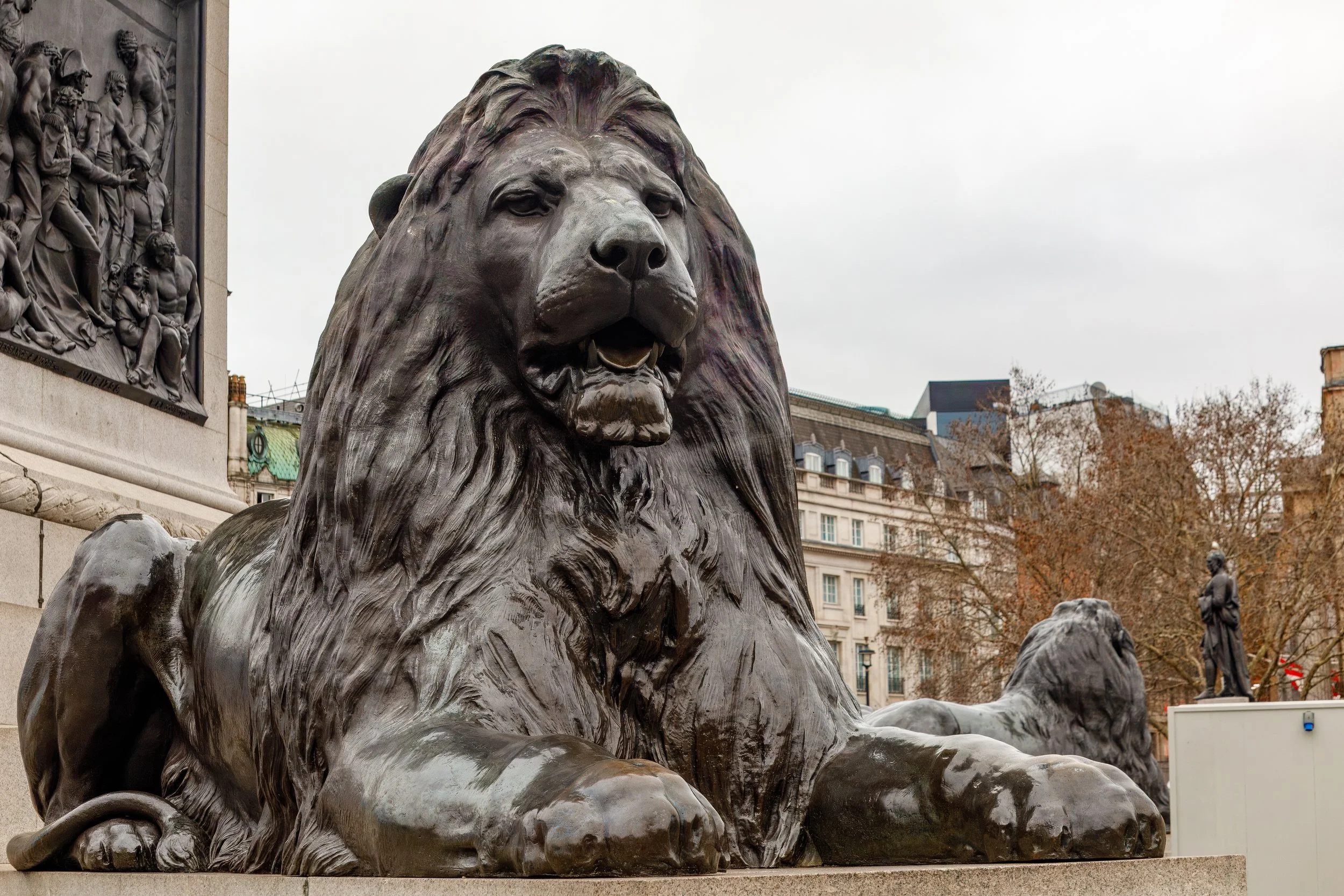  Some of the lions protecting Nelson’s Column 