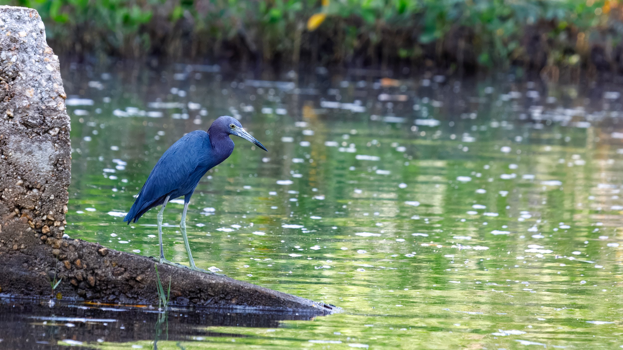  One last shot before we head deeper into the estuary 