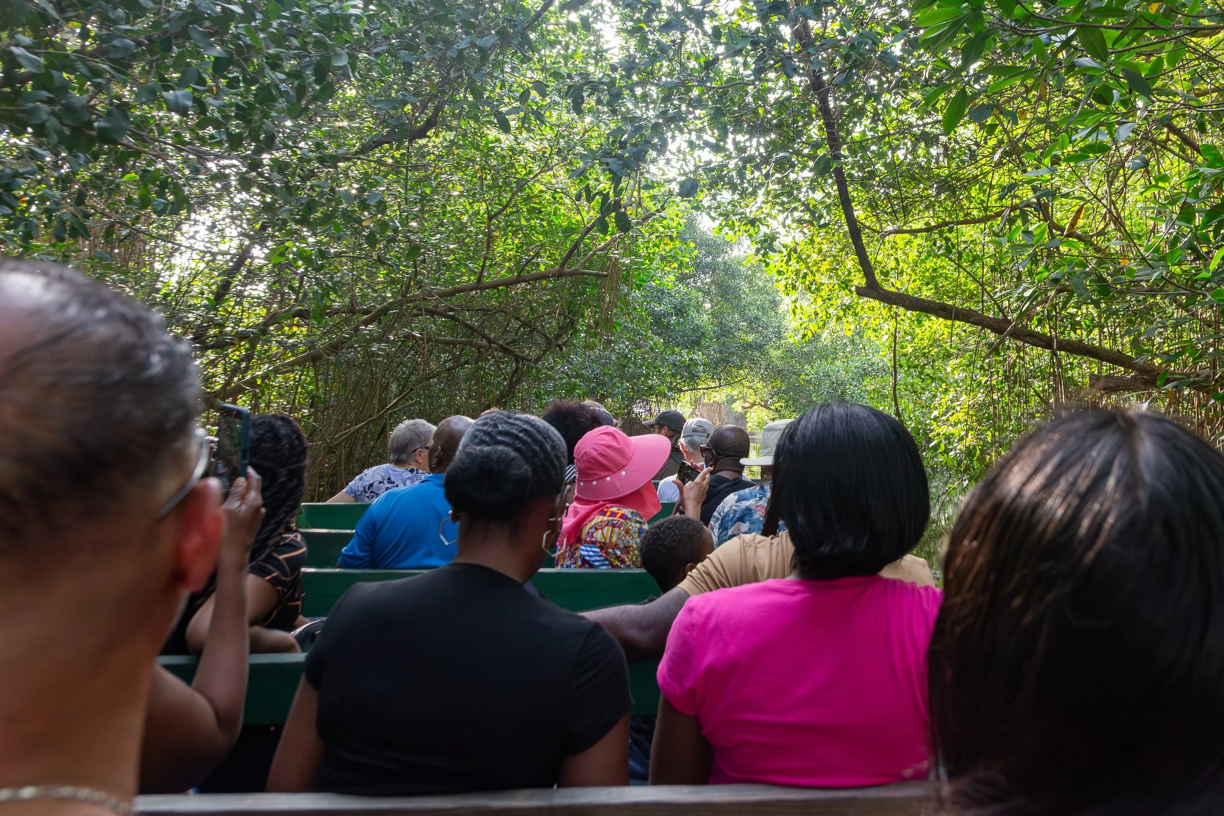  The path for the boat requires that you pay attention, to prevent getting blindsided by a low-hanging branch 