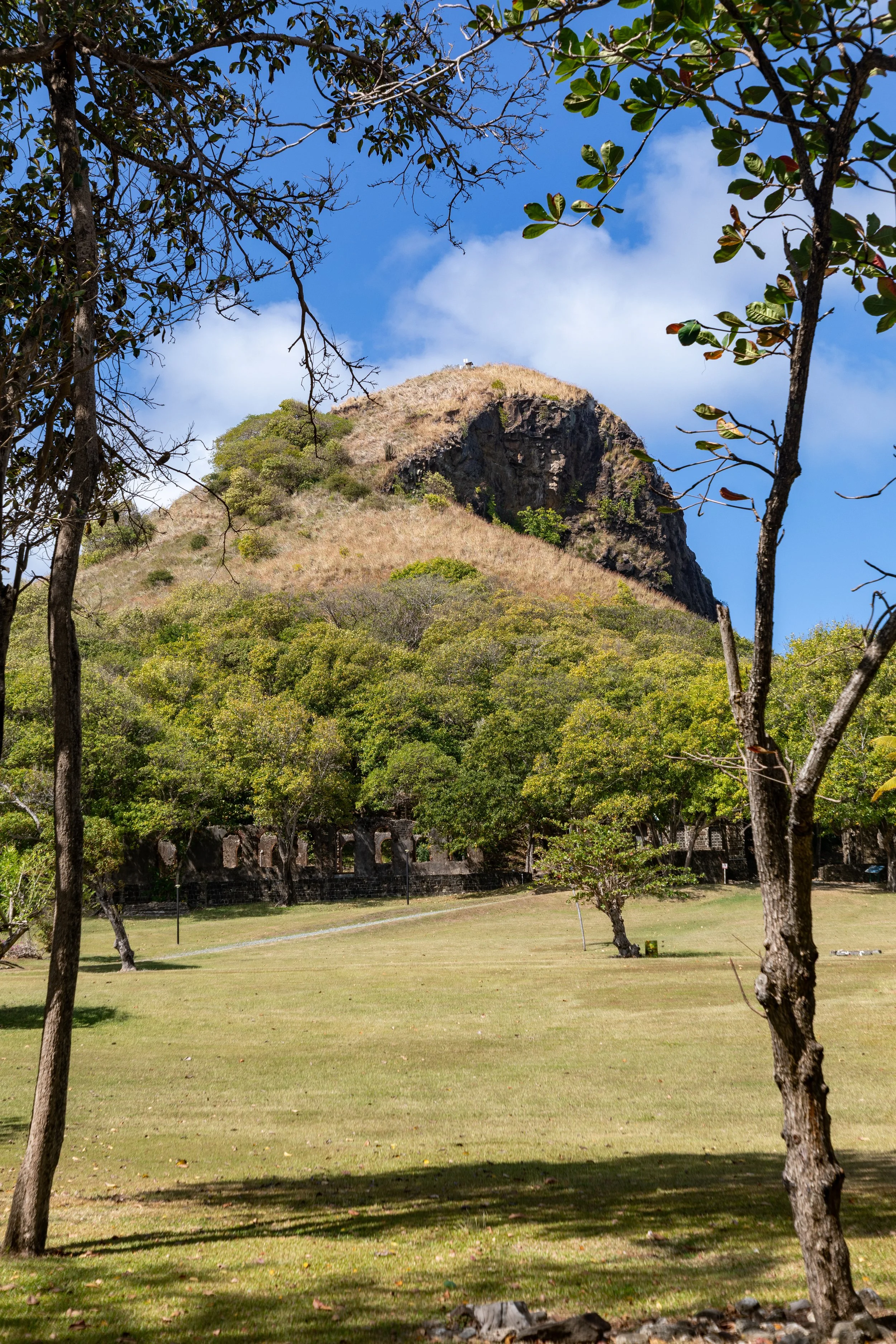  Inside the national landmark, looking up to Signal Hill 