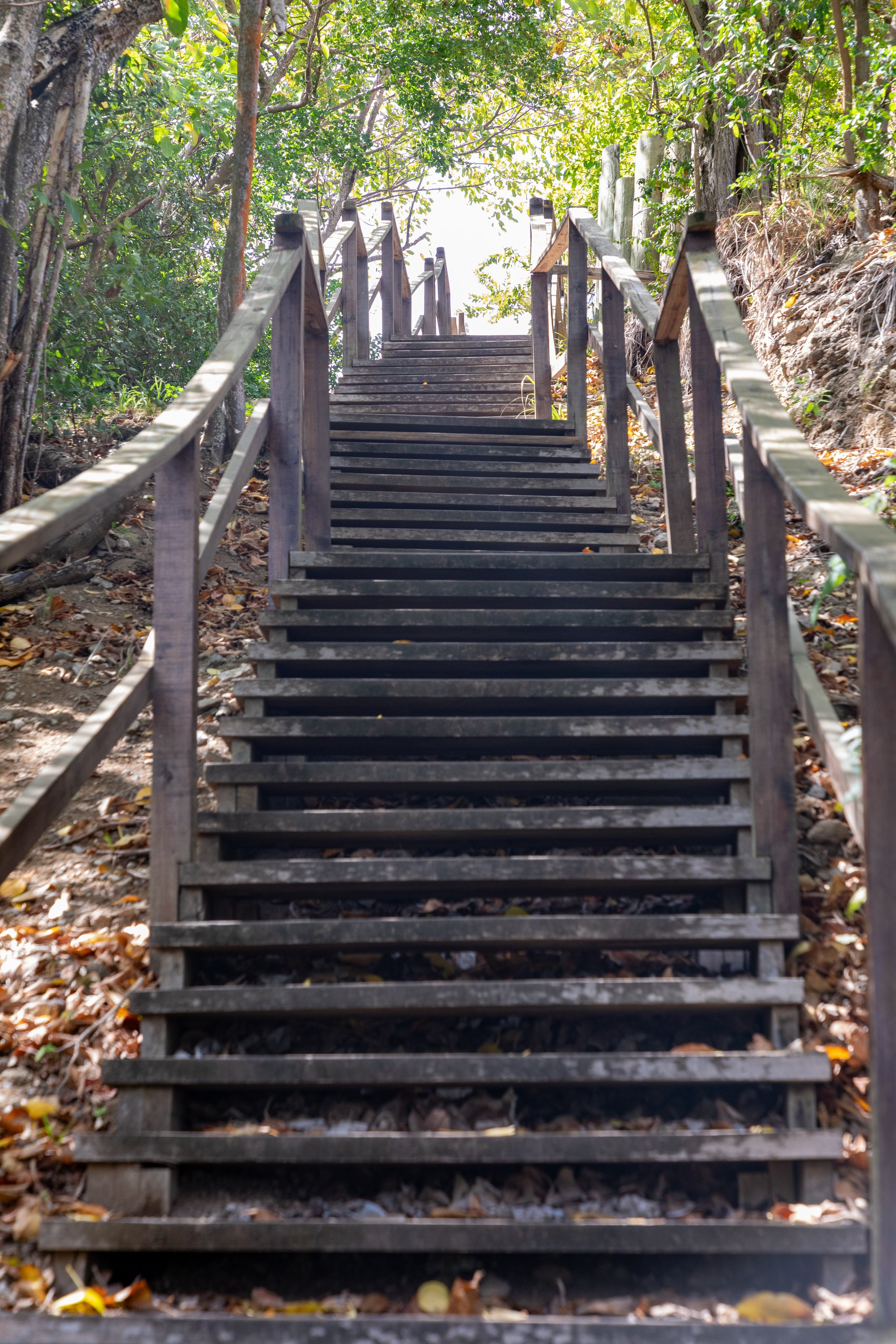  Climbing our way to the lookout 