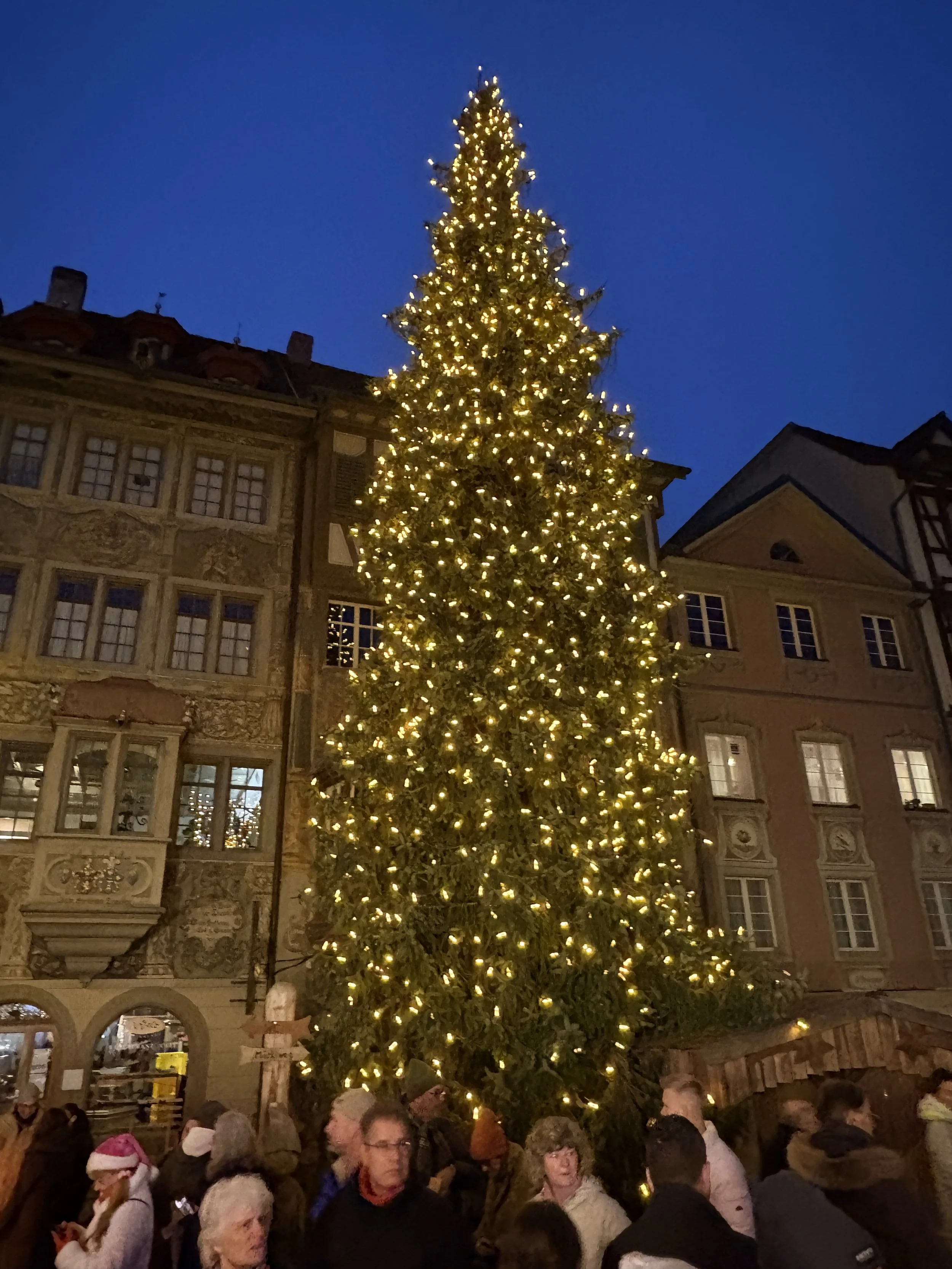 Christmas tree surrounded by the medieval town 