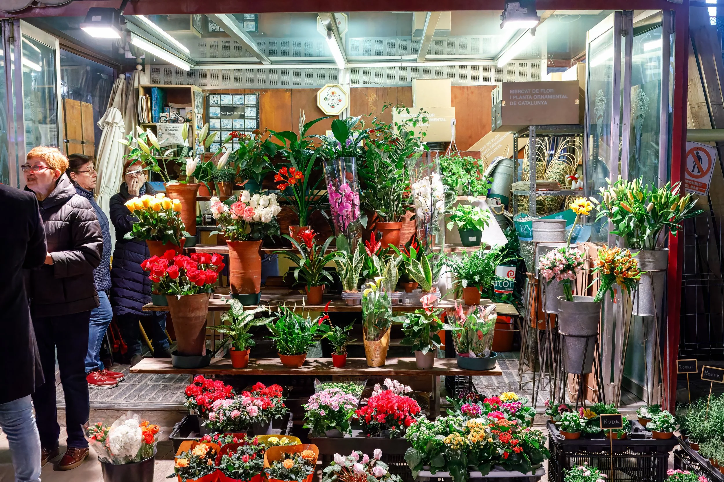 A section of the Rambla famous for its flower and seed shops where you can buy Padron pepper seeds 