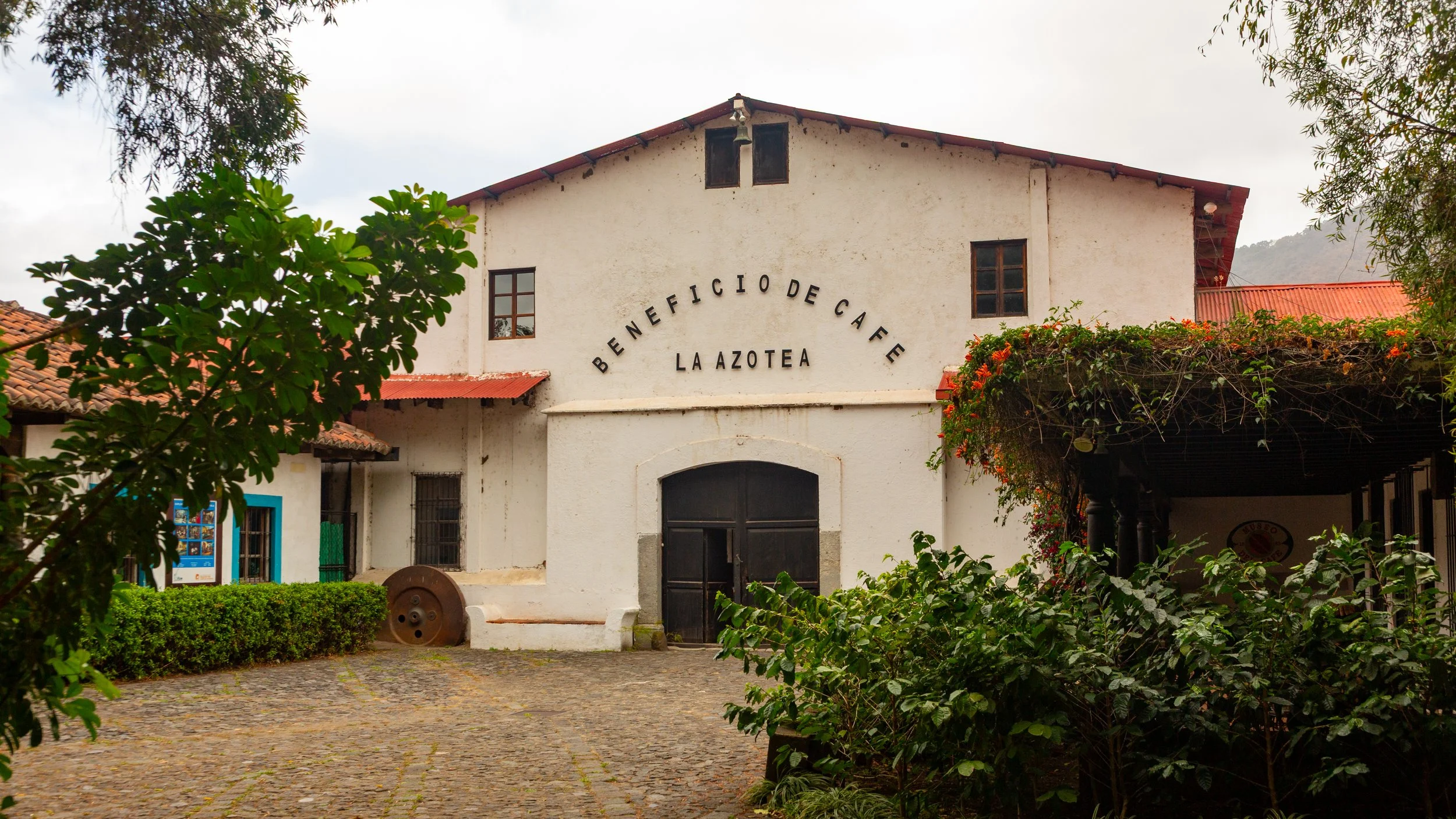  Our first stop was a coffee museum on the edge of town on a farm that produces small batches of coffee 