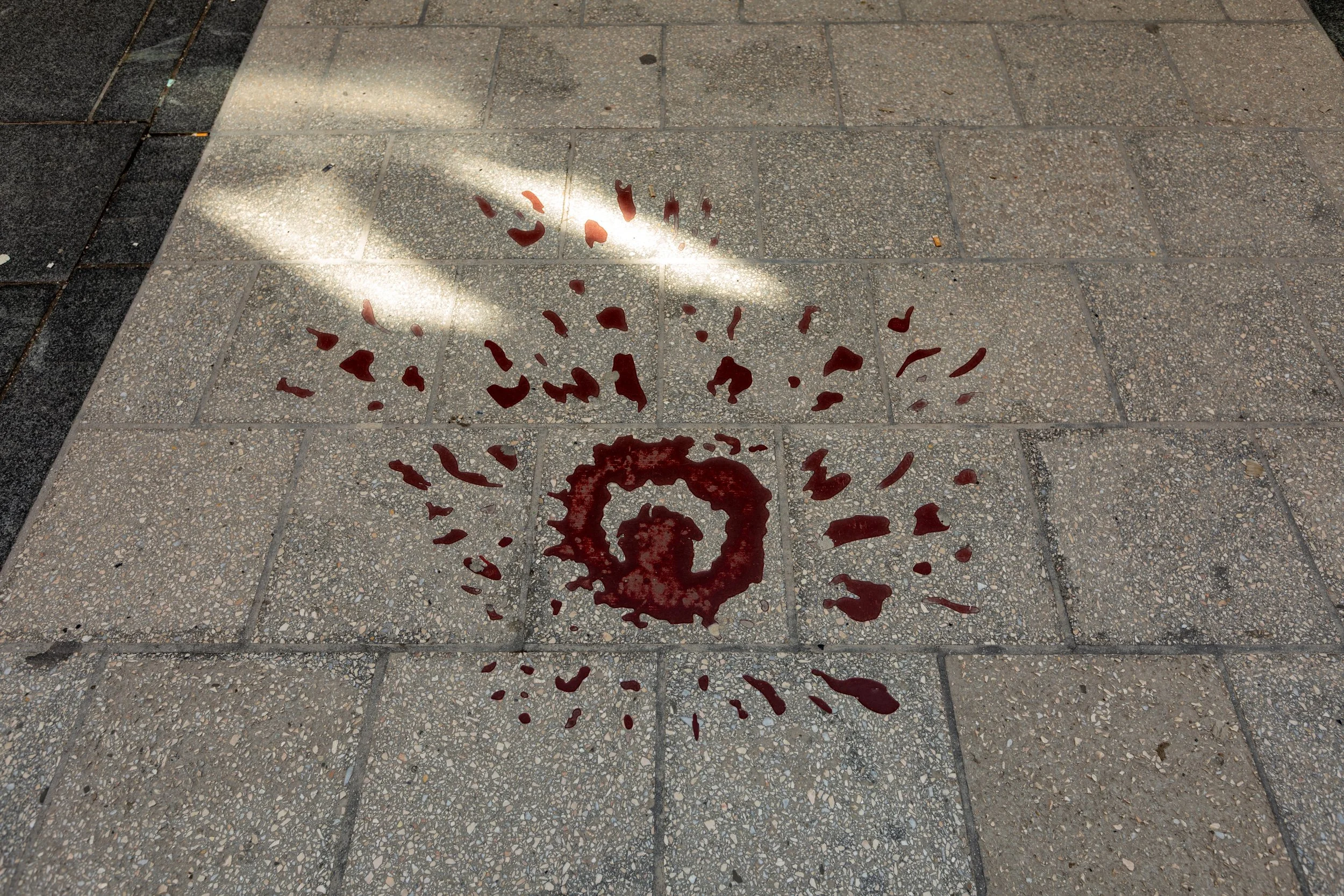  One of many Sarajevo Roses, memorials marking the spot of a mortar shell explosion (killing at least three) during the Siege of Sarajevo, created by filling the concrete scars left by mortar fragmentation with red resin 