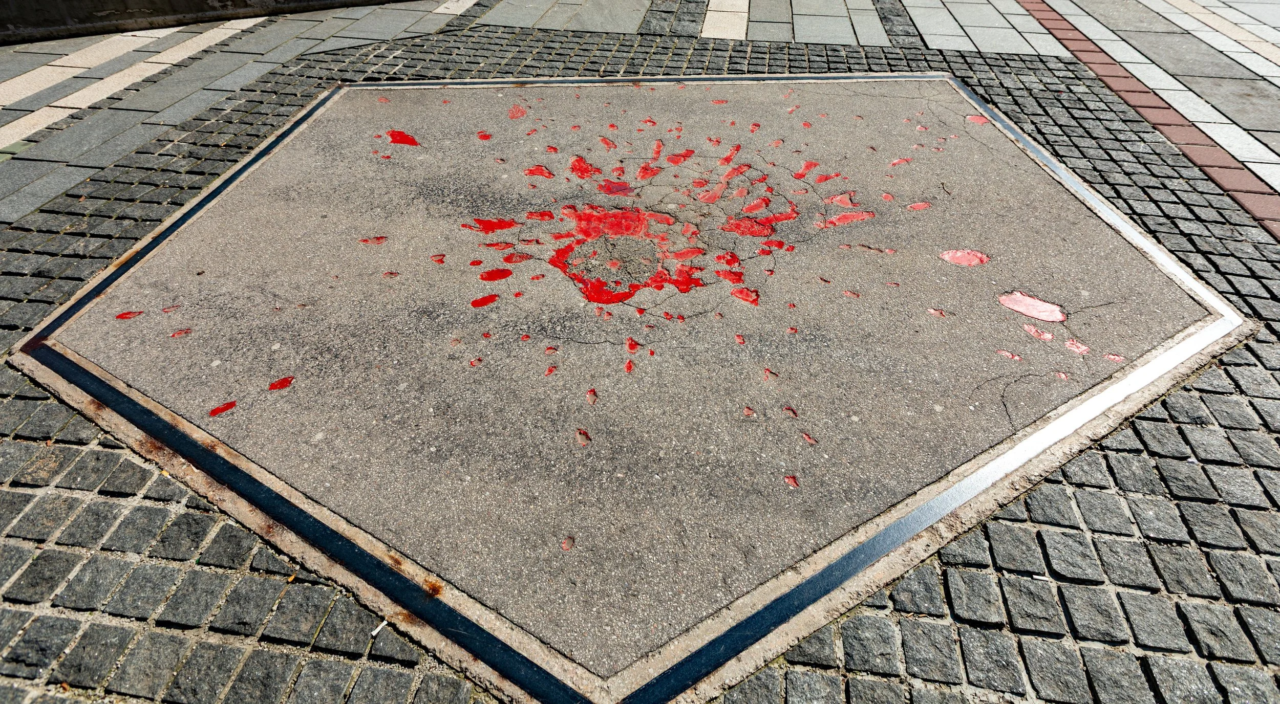  A better example of a Sarajevo Rose near the park 