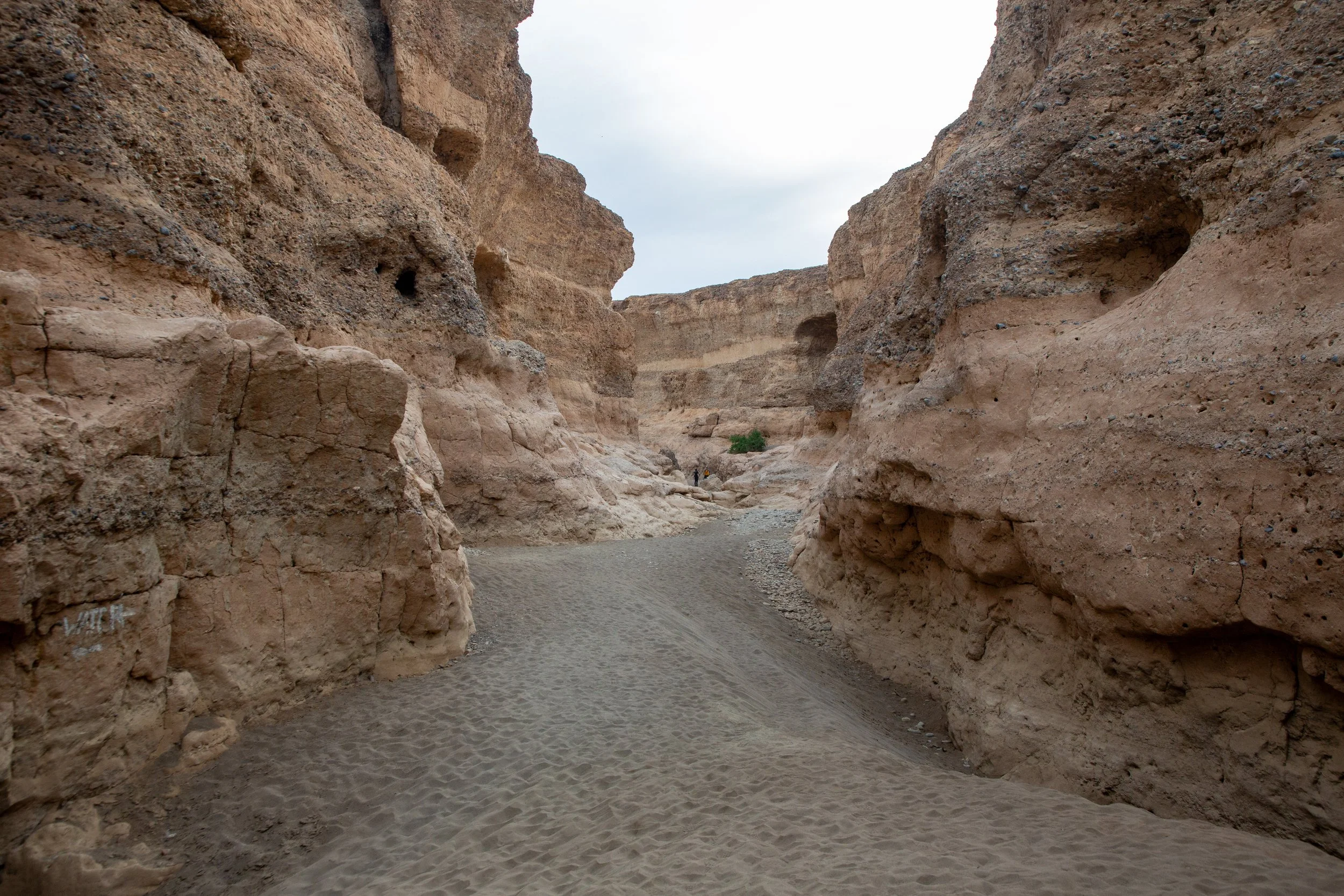  The riverbed is mostly sand, making for an easy hike into the canyon 