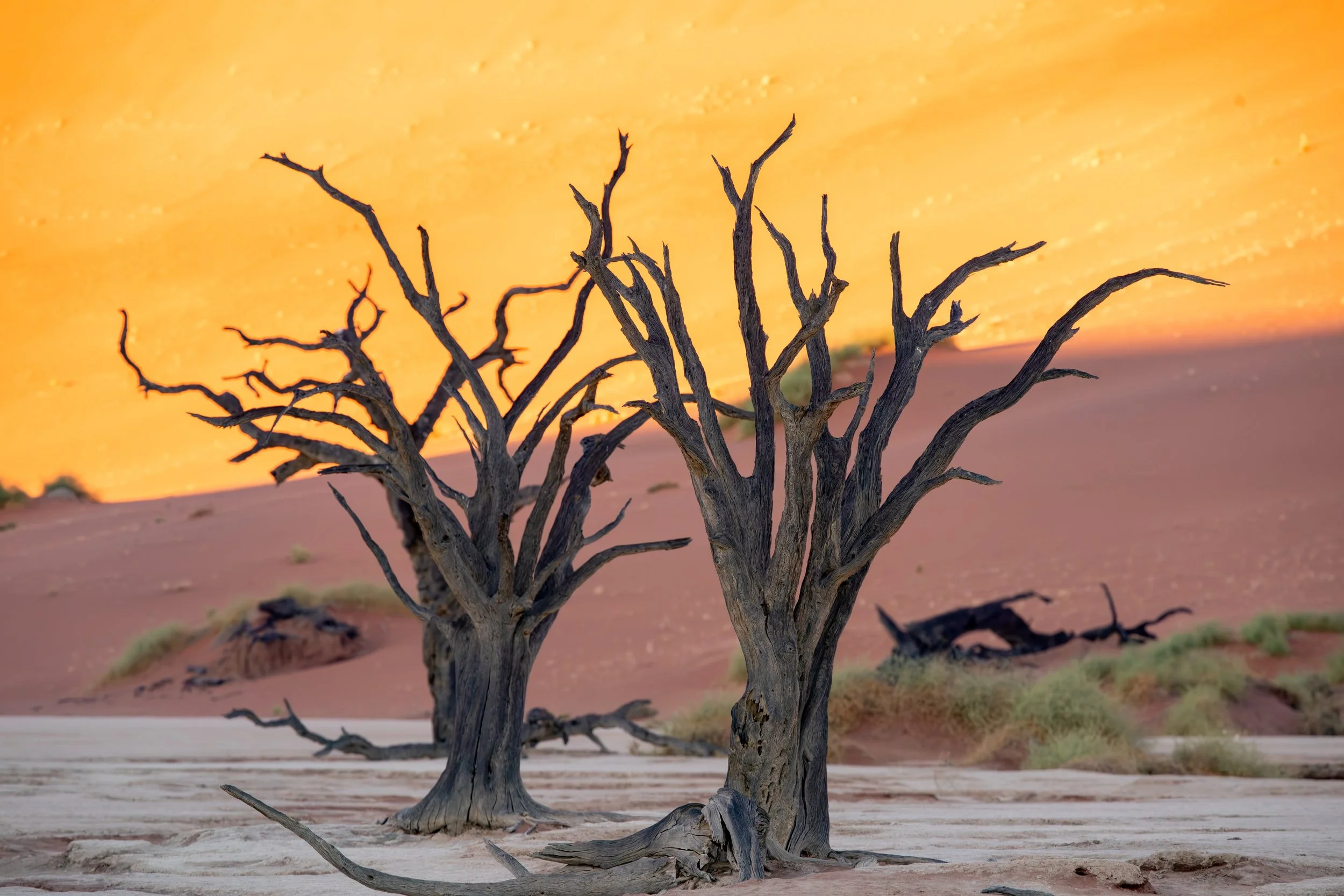  After a brief hike from our parking location, we had lots of time to explore the desiccated dead trees in the salt pan of Deadvlei  