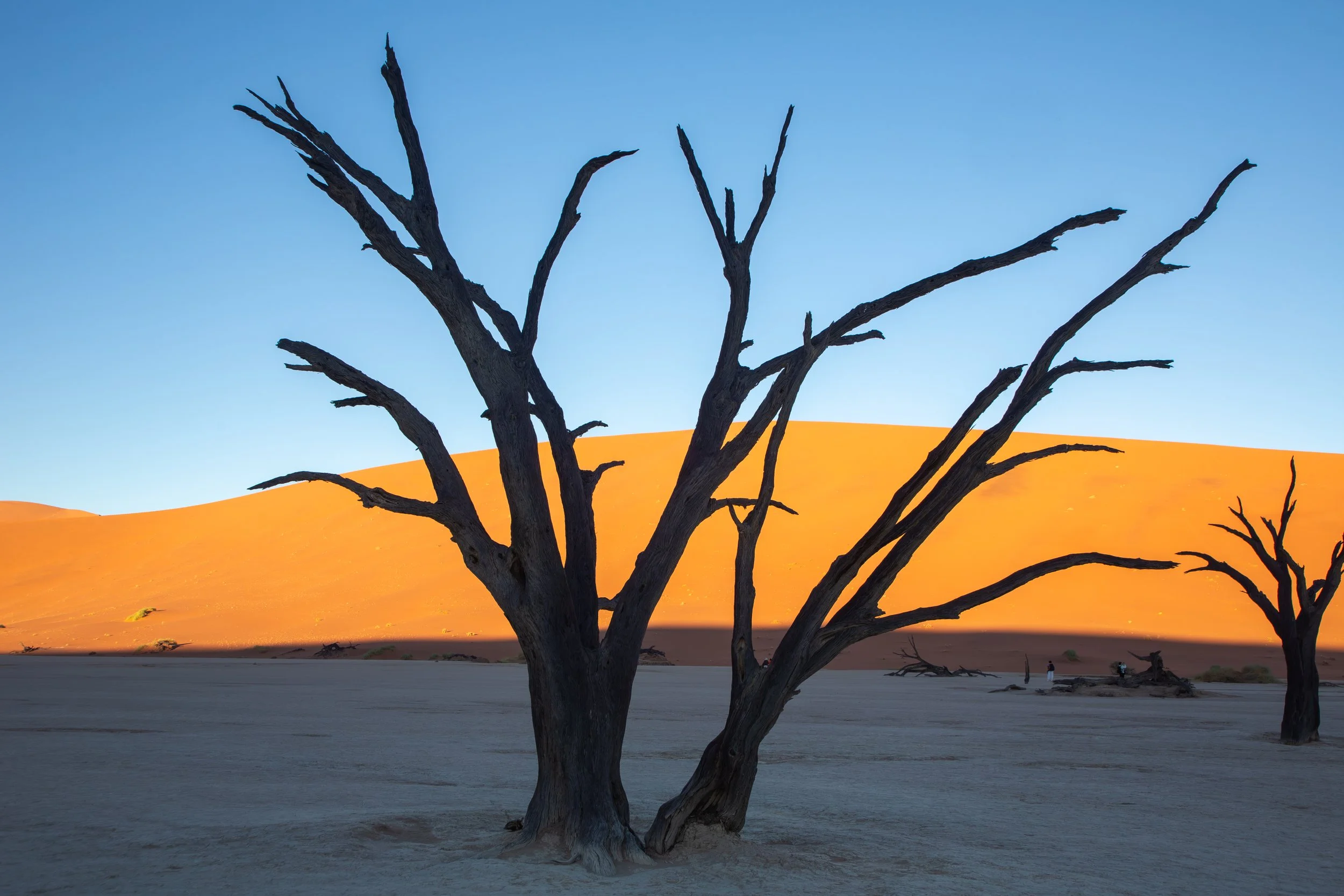  The trees in Deadvlei comprise one of the iconic images of Namibia, and were beautiful to explore 
