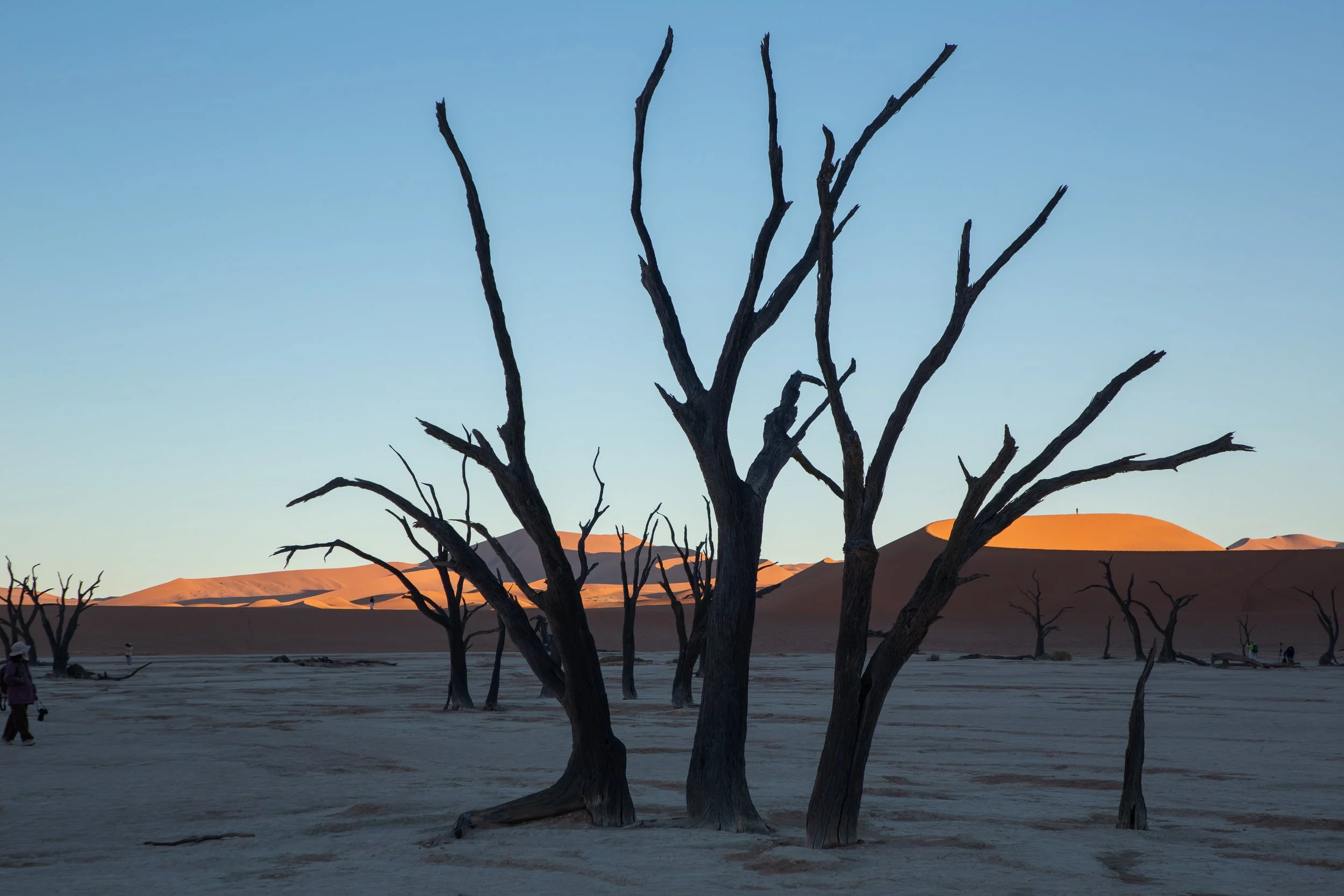  As the sun started to rise over the nearby dunes, we began to chase its light for warmth 