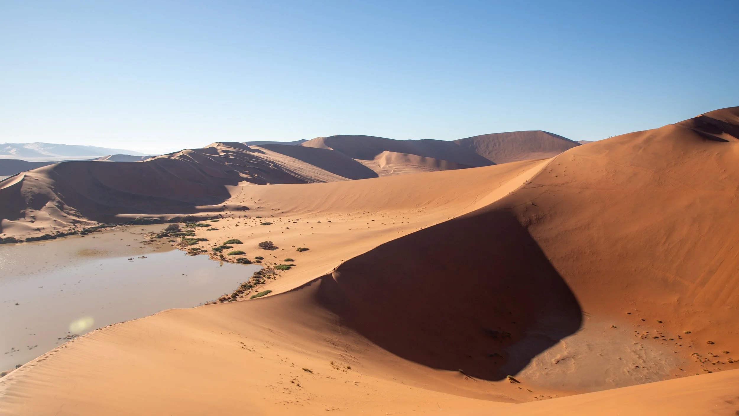  Some water still remains in this area of the desert from the rains earlier in the winter 