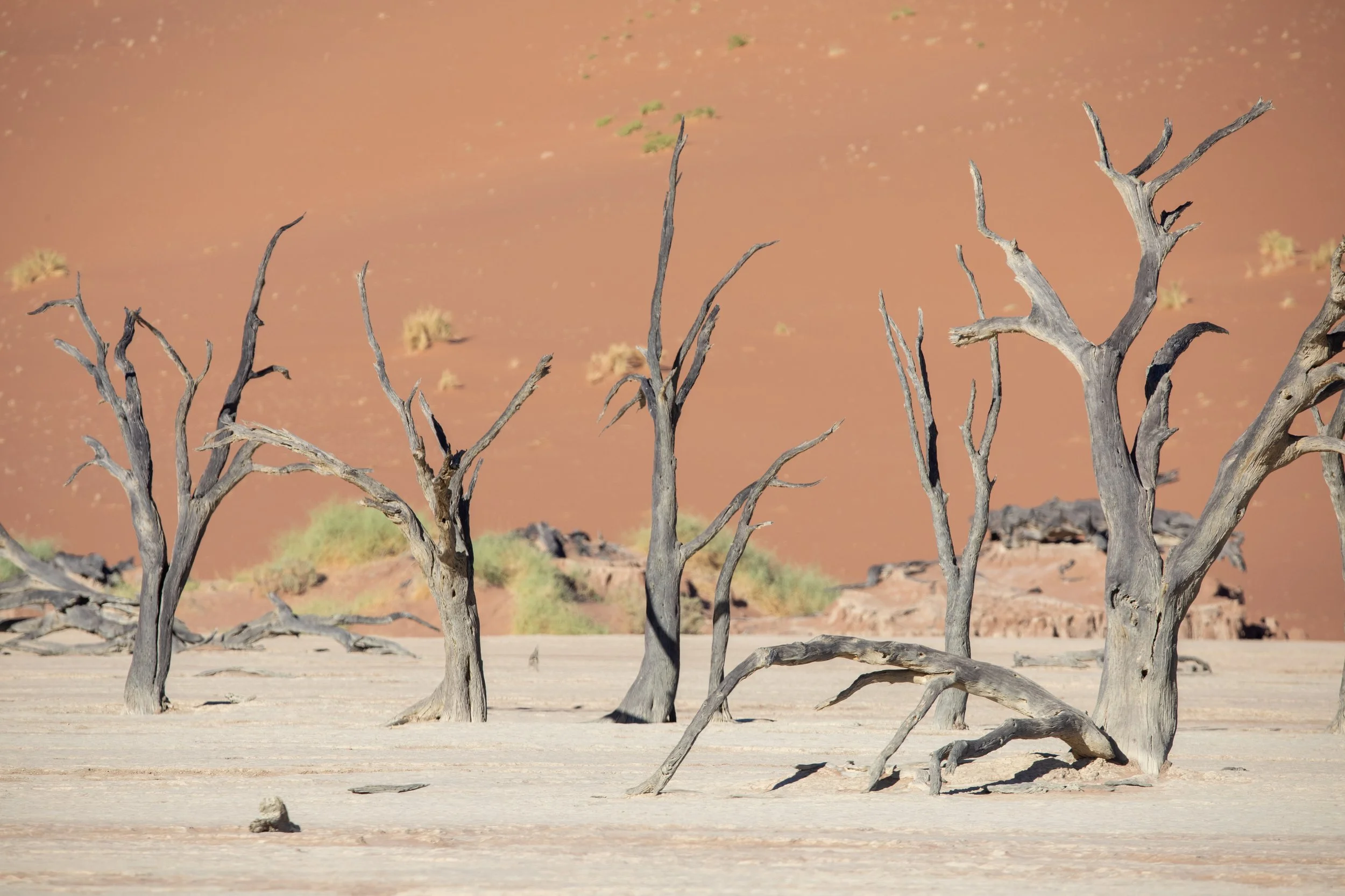  After sliding our way down the dune, the valley was now is now in full sun with fewer shadows 