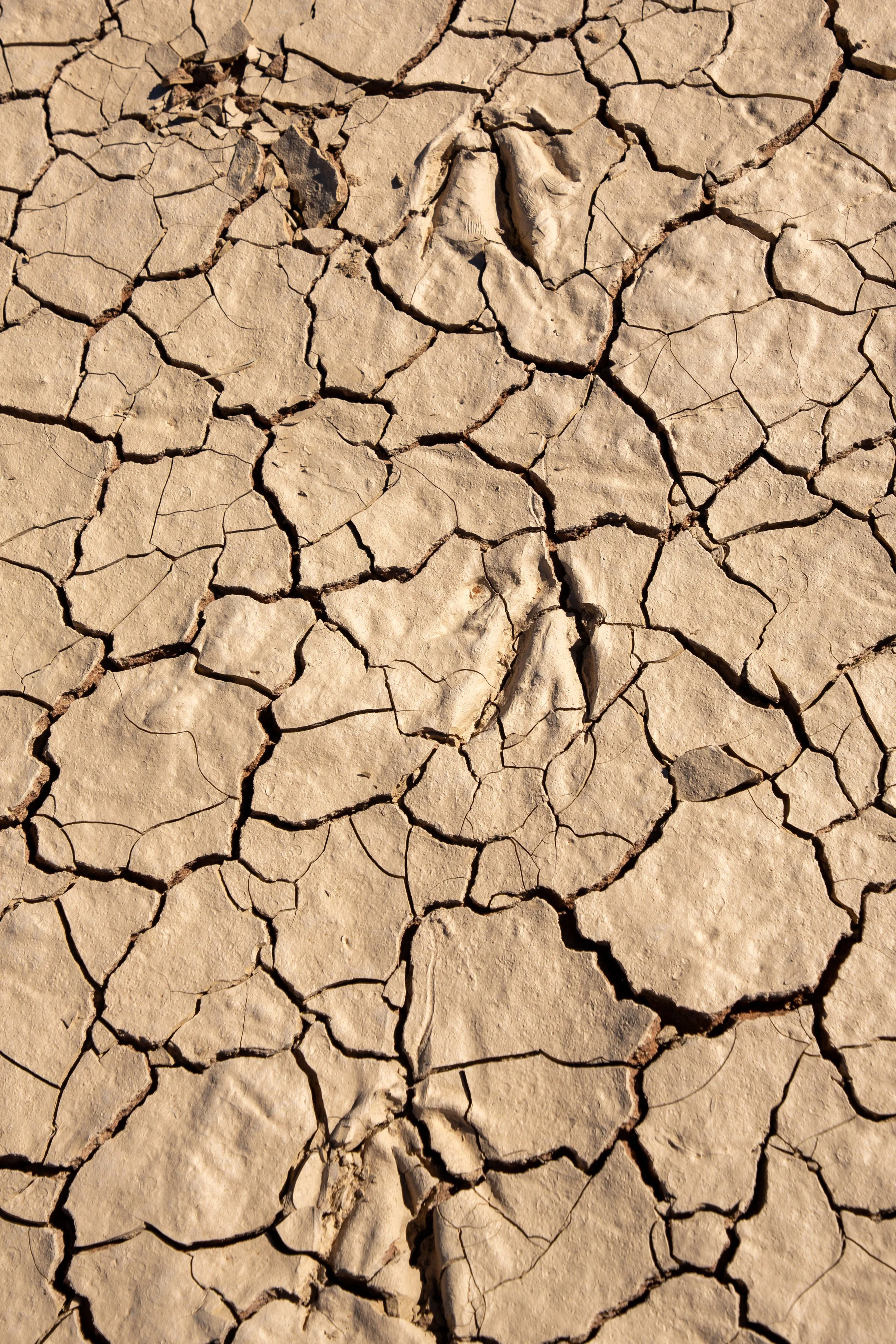  At the edge of lake, we walked across the caked sand 