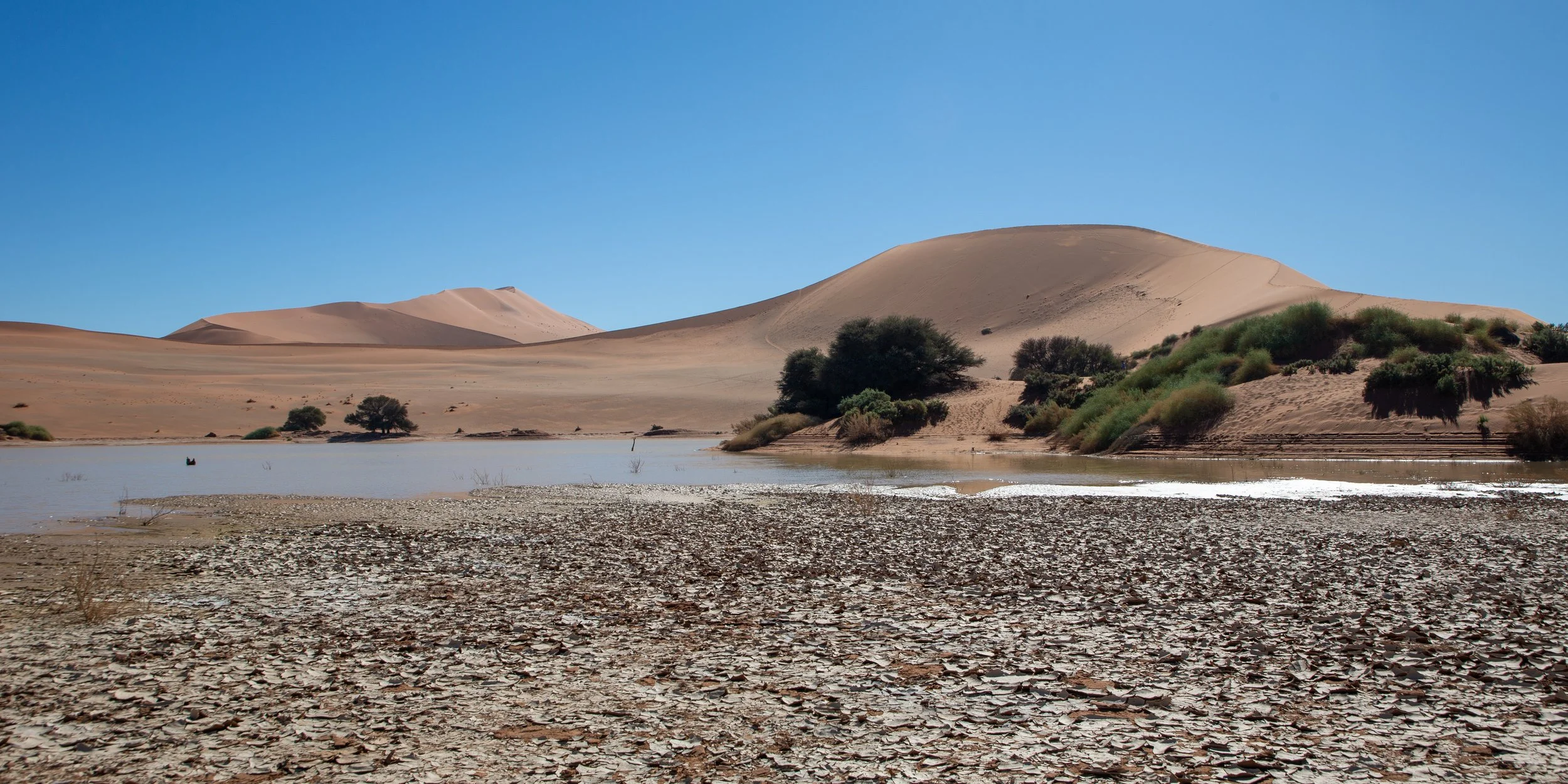  What remained of the temporary pond in the Namib desert 
