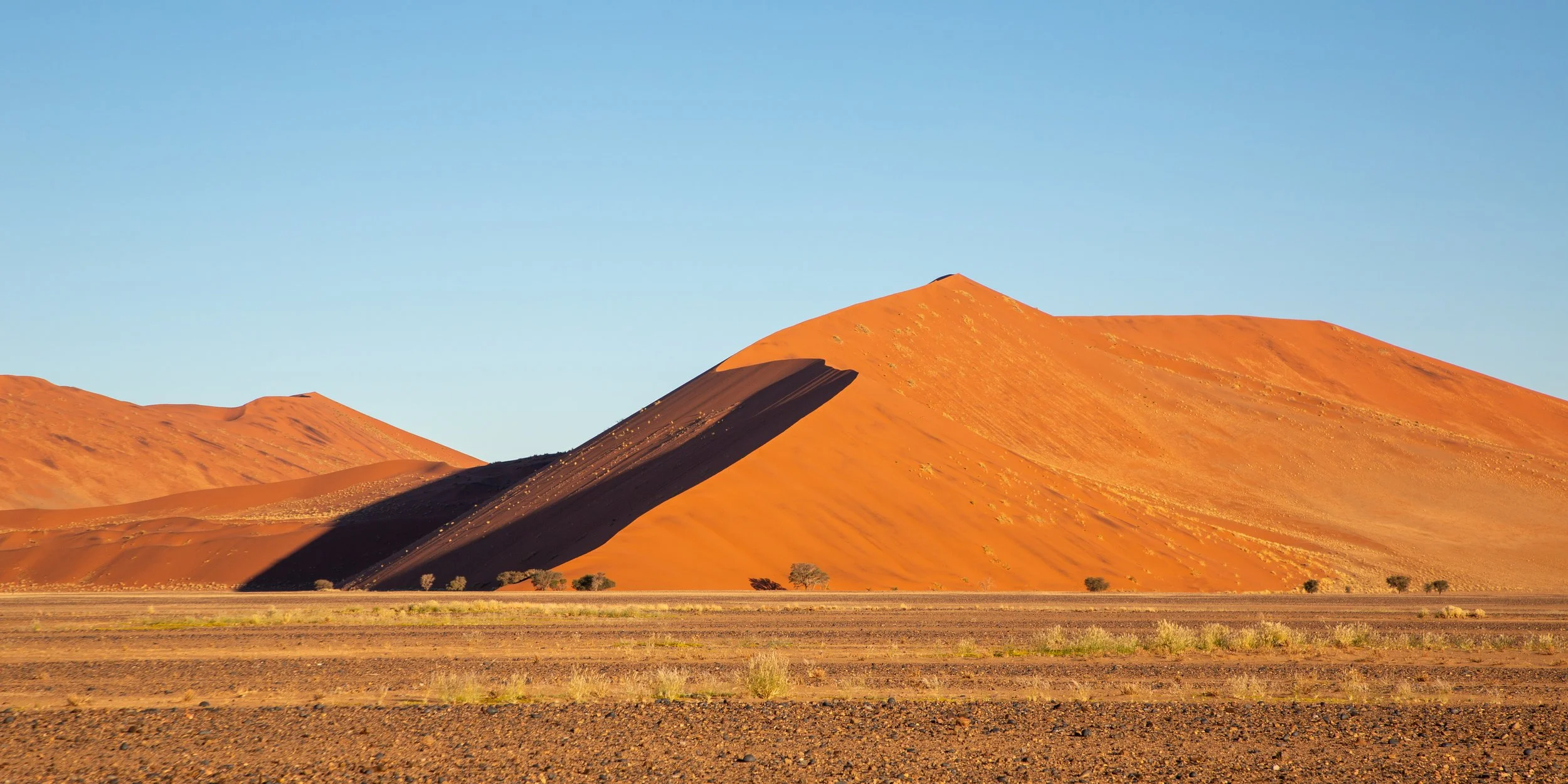  More dunes under the afternoon sun 
