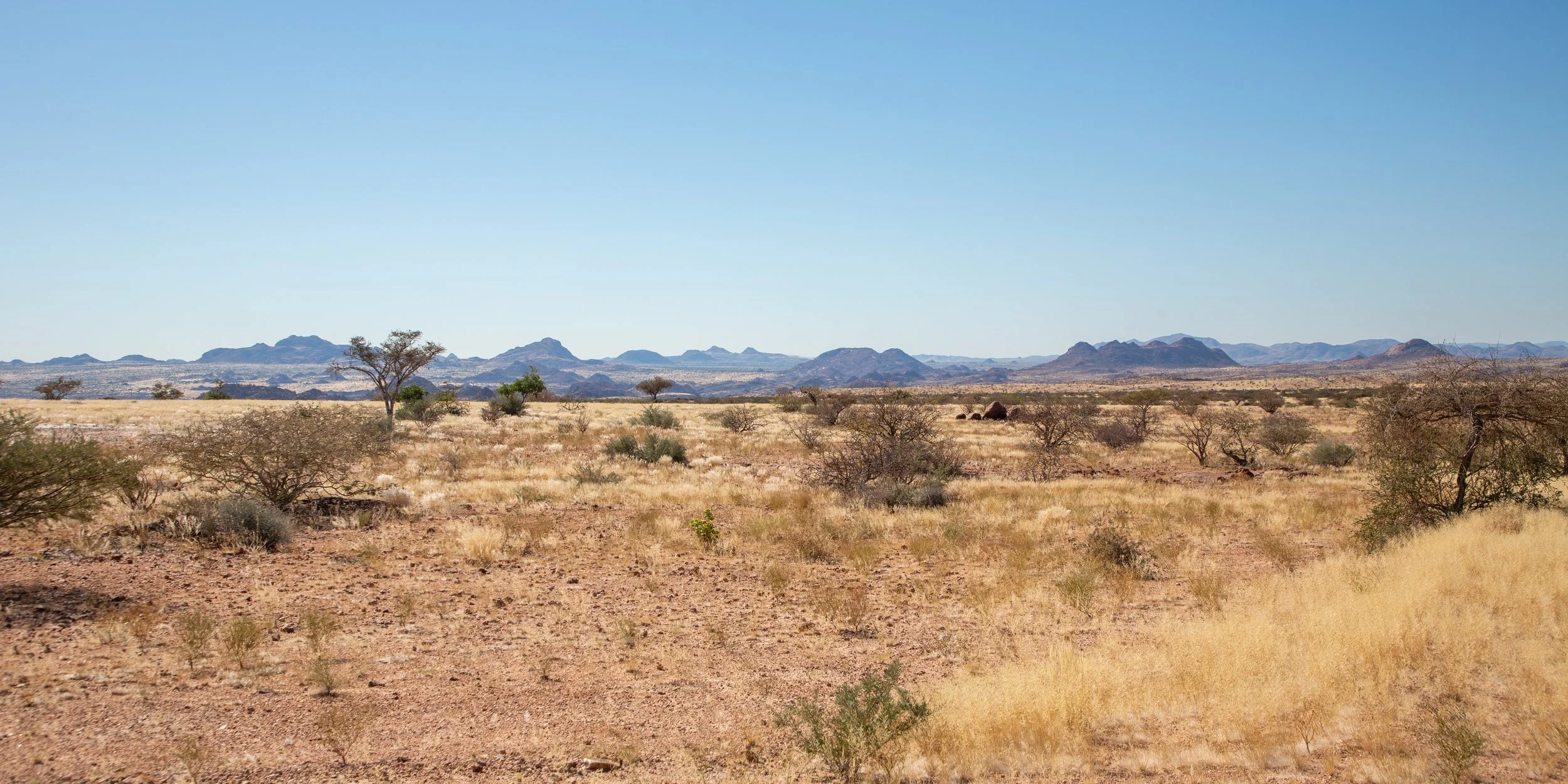 A few more patches of vegetation break up the desert terrain 