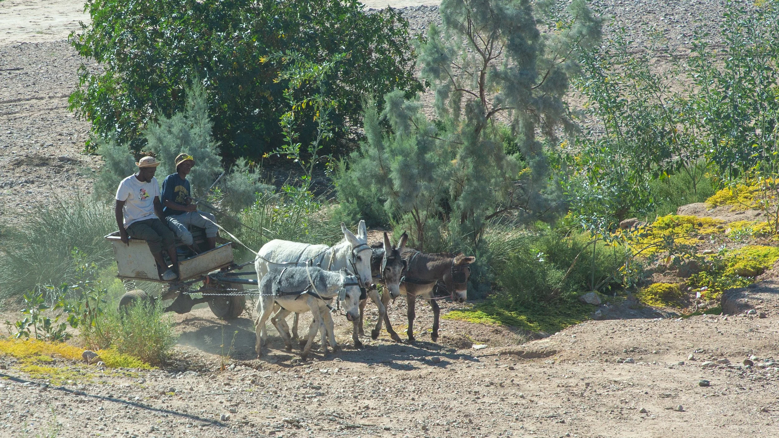  Locals getting around the traditional way 