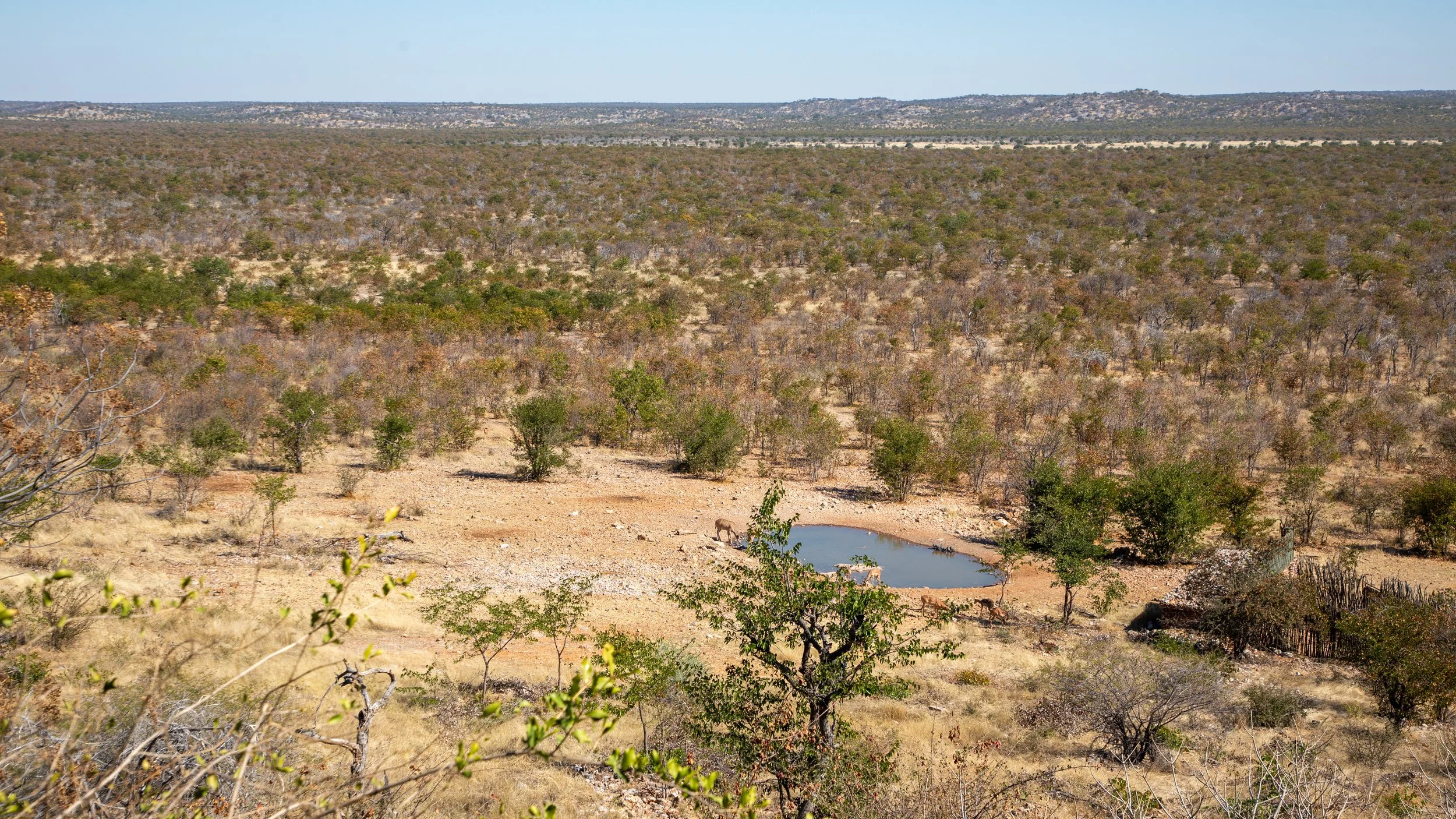 After checking into Ongava Lodge, we enjoyed lunch with a view of the property’s watering hole 