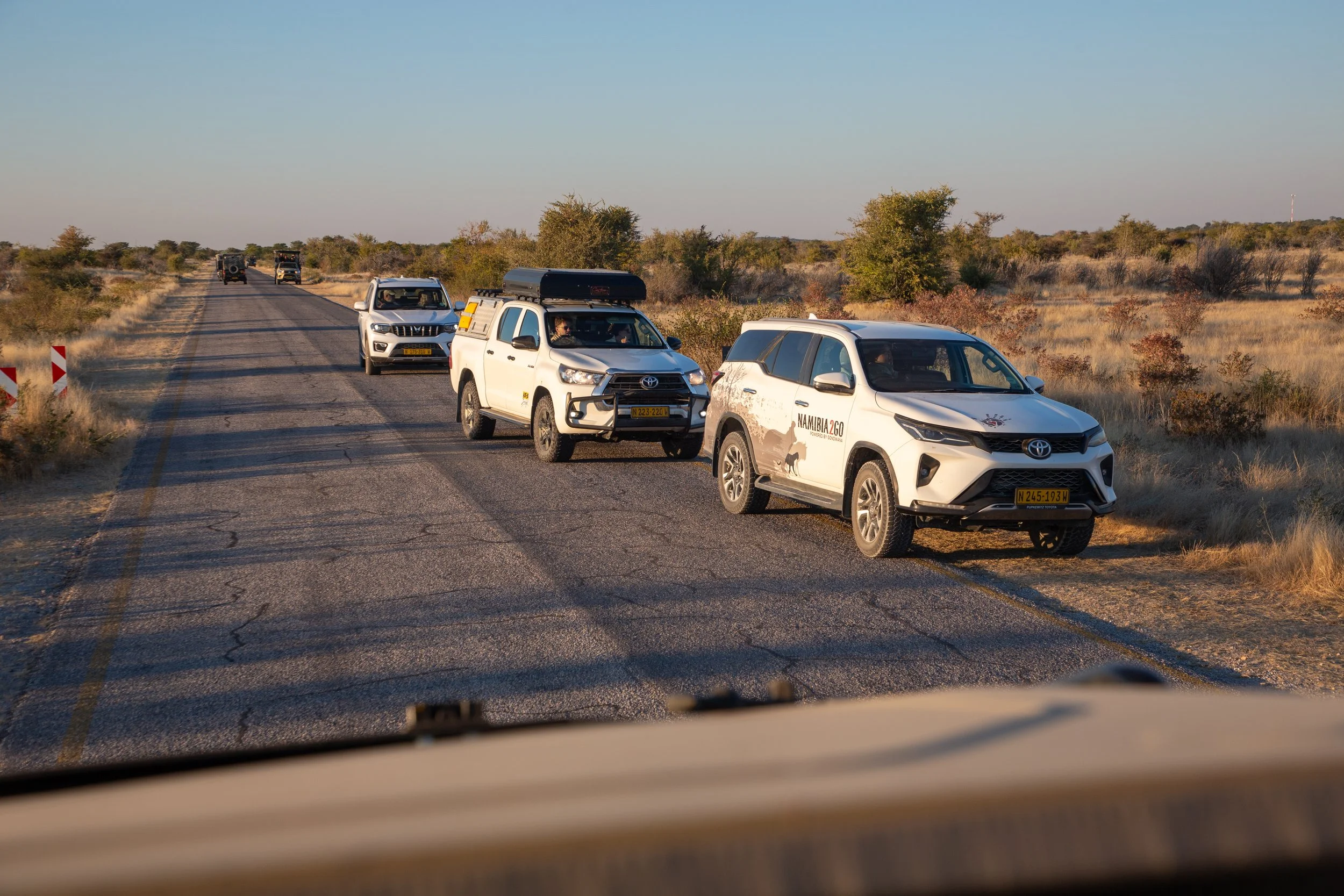  Crowd of vehicles hoping for a lion sighting 