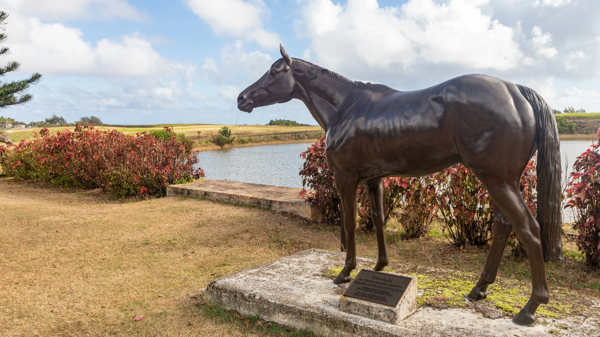  Horse statue on the plantation grounds 