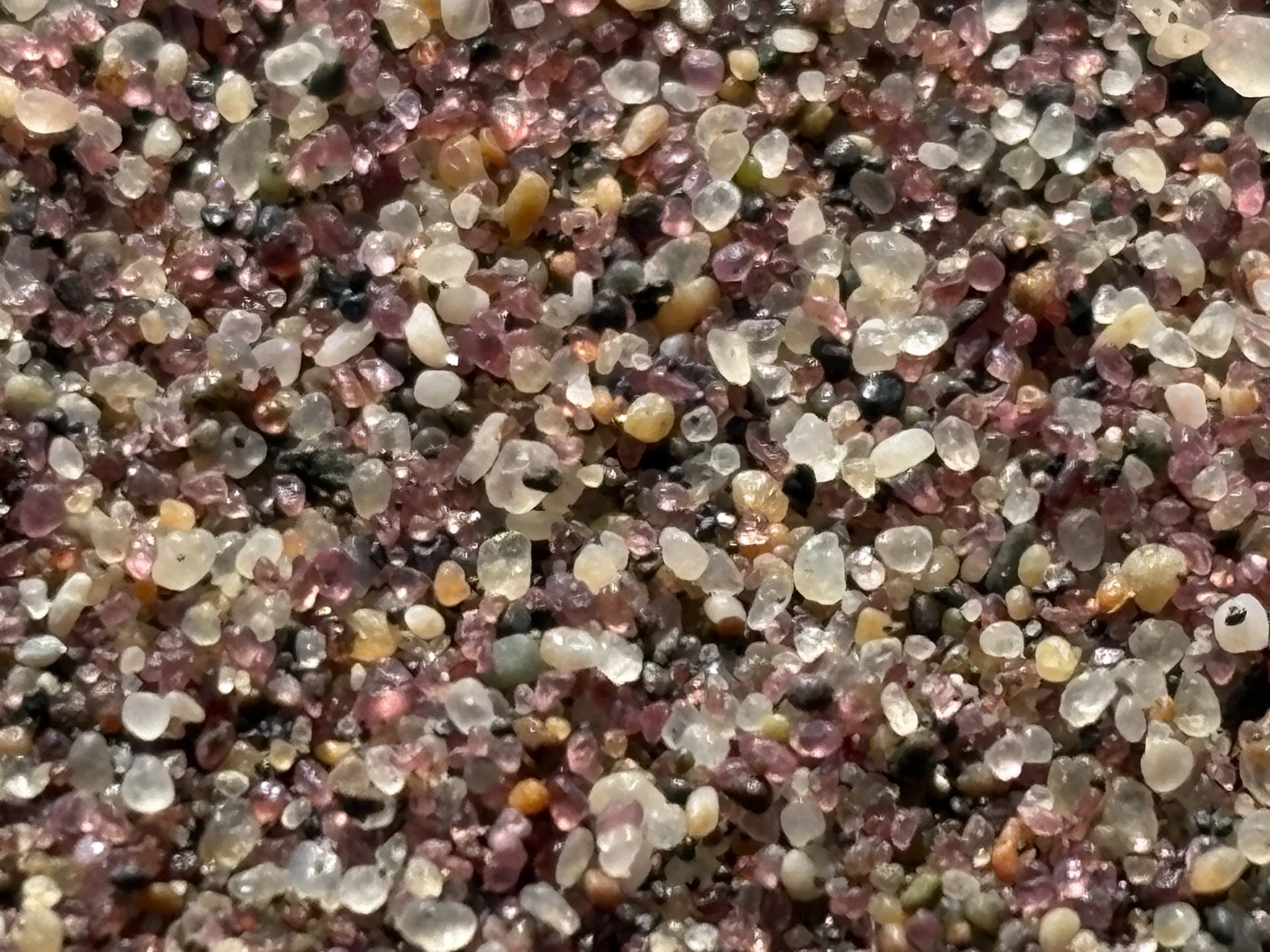  With the aid of my iPhone camera, we could zoom into to see the composition of the ‘white’ sand 