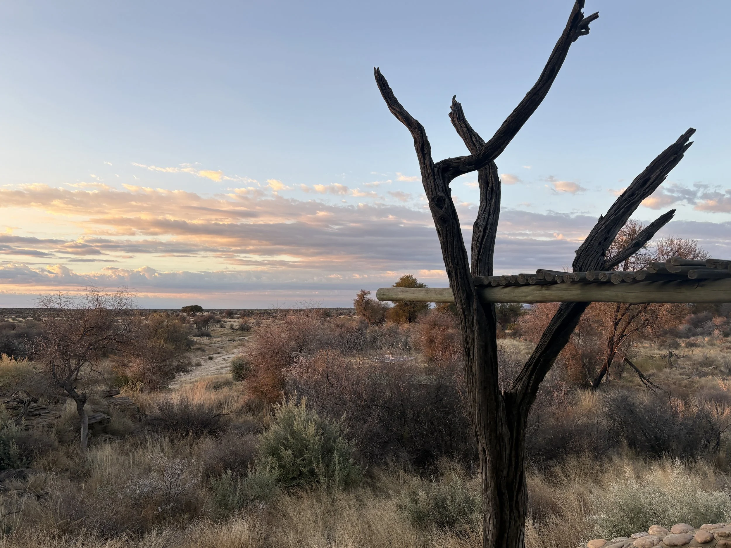  View from our patio of the sanctuary property 