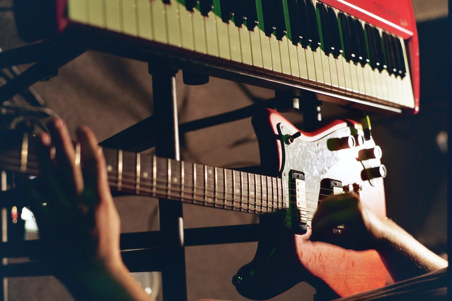  photo by Kyle Safieh 