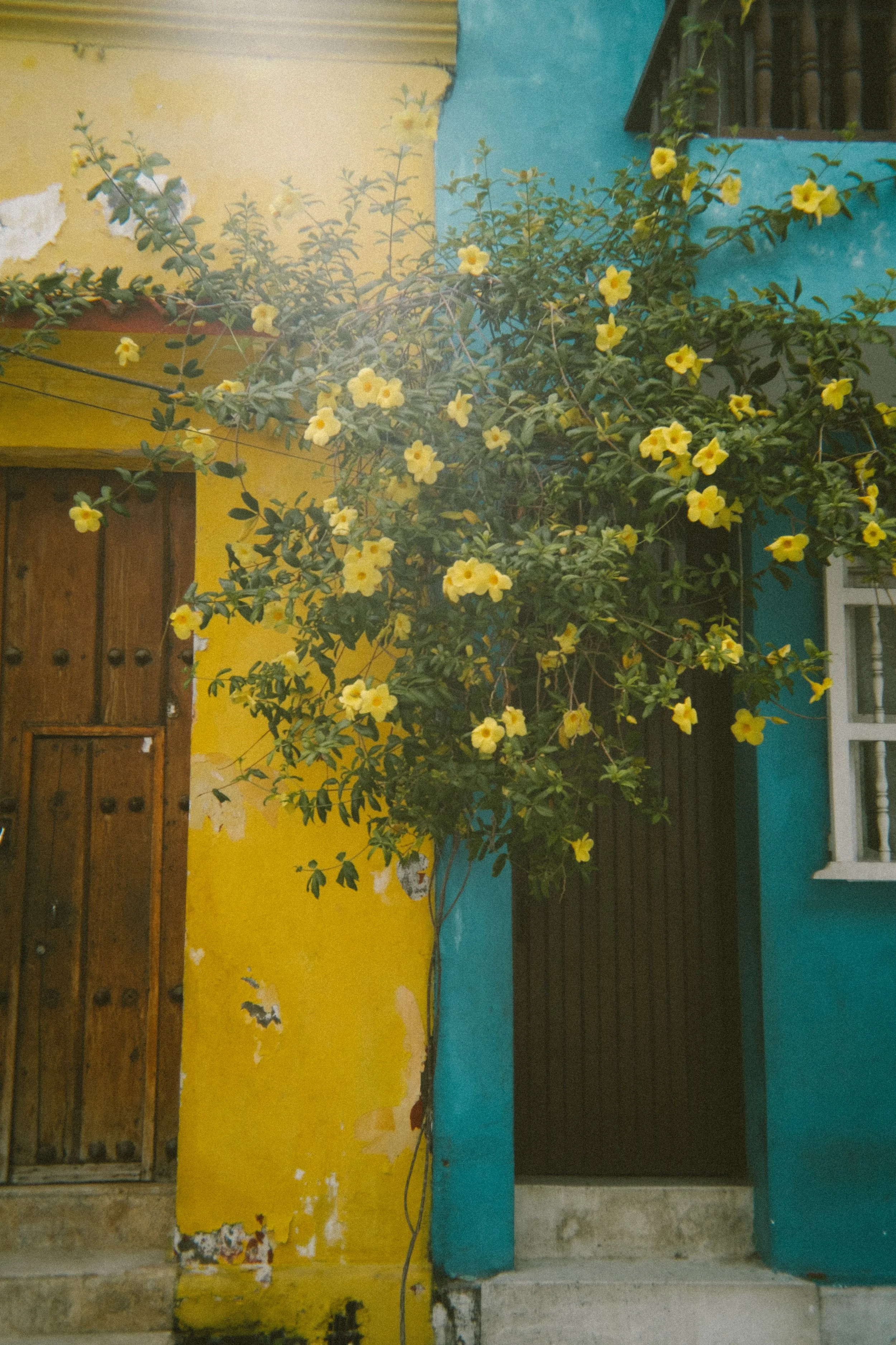 colombia-5601.jpg