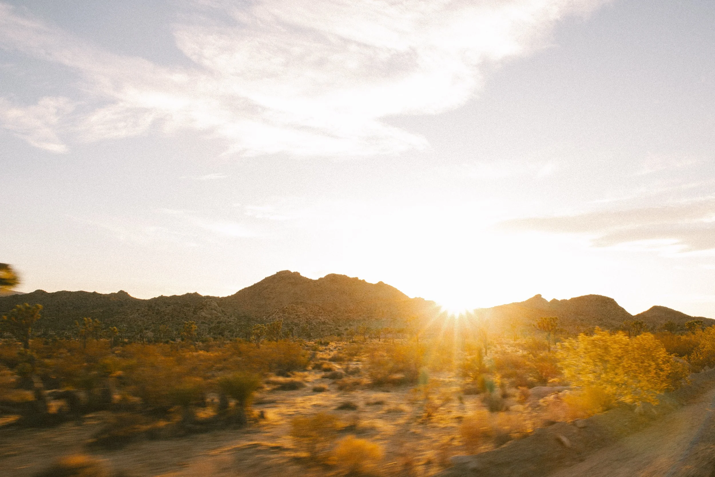 joshuatree-4917.jpg