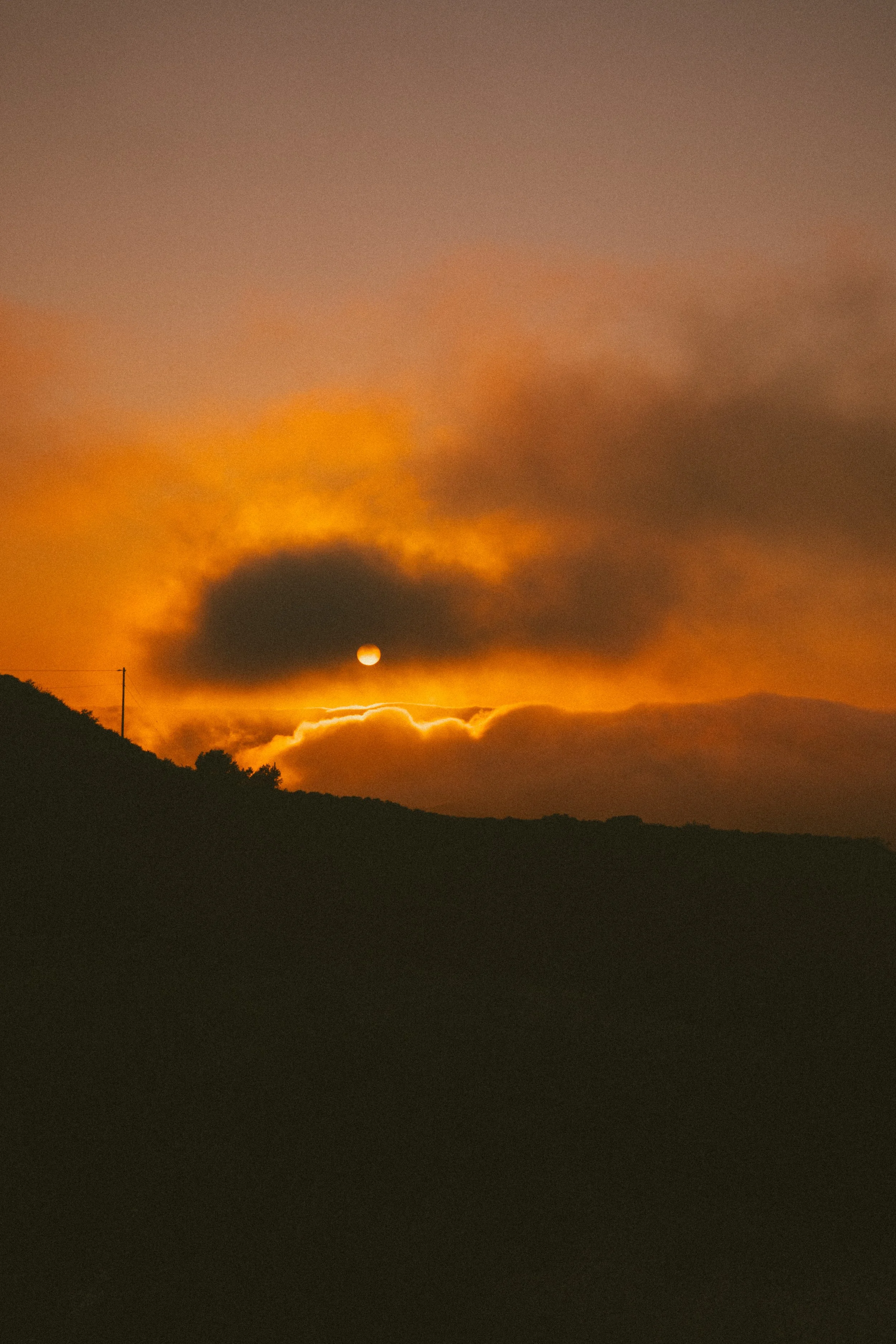 joshuatree-9516.jpg