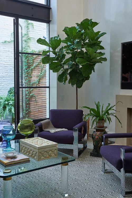 Contemporary great room by Allison Caccoma . Photographer: Stacy Bass