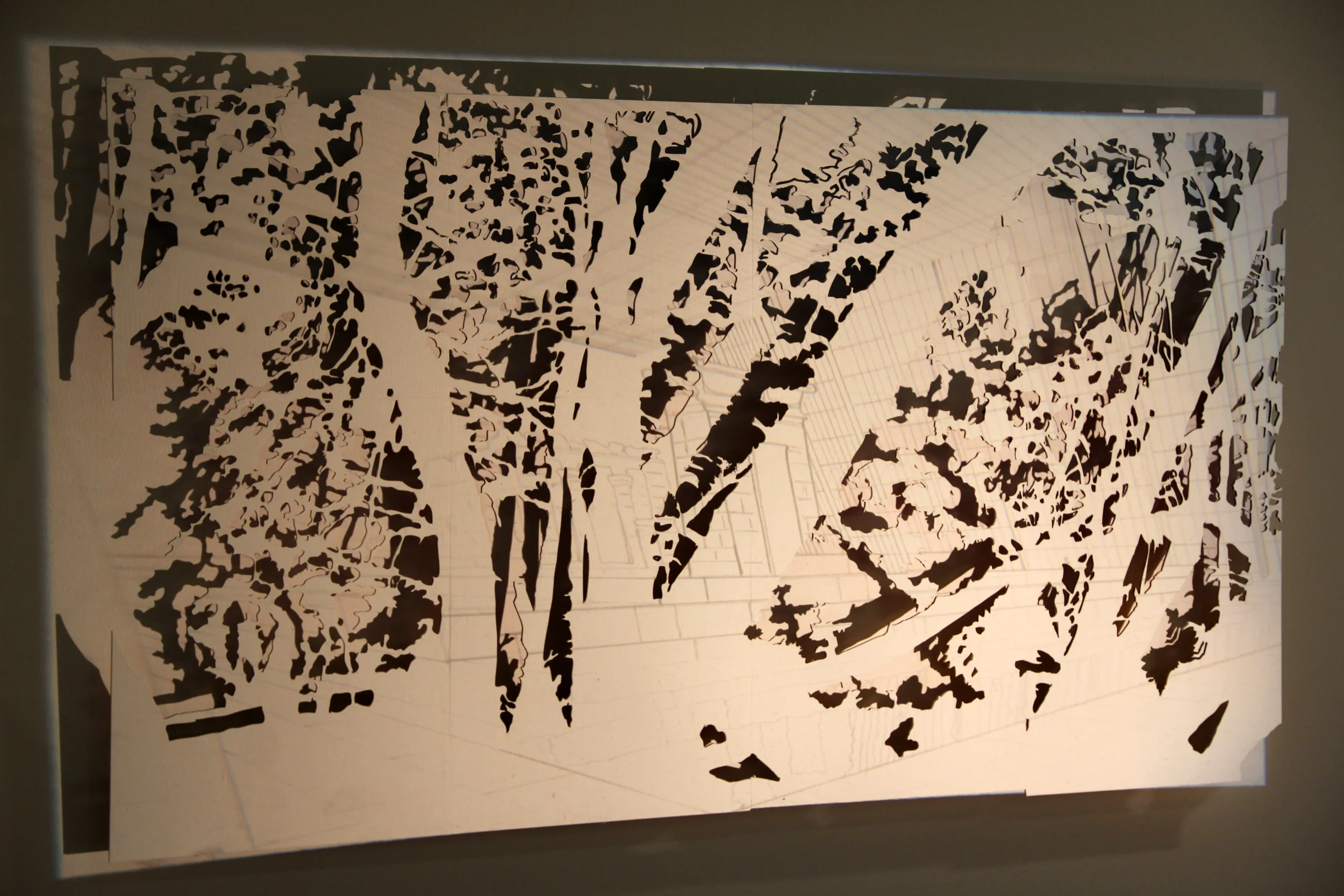   Ecology  Line drawing projection on laser cut plywood 40” x 60” 