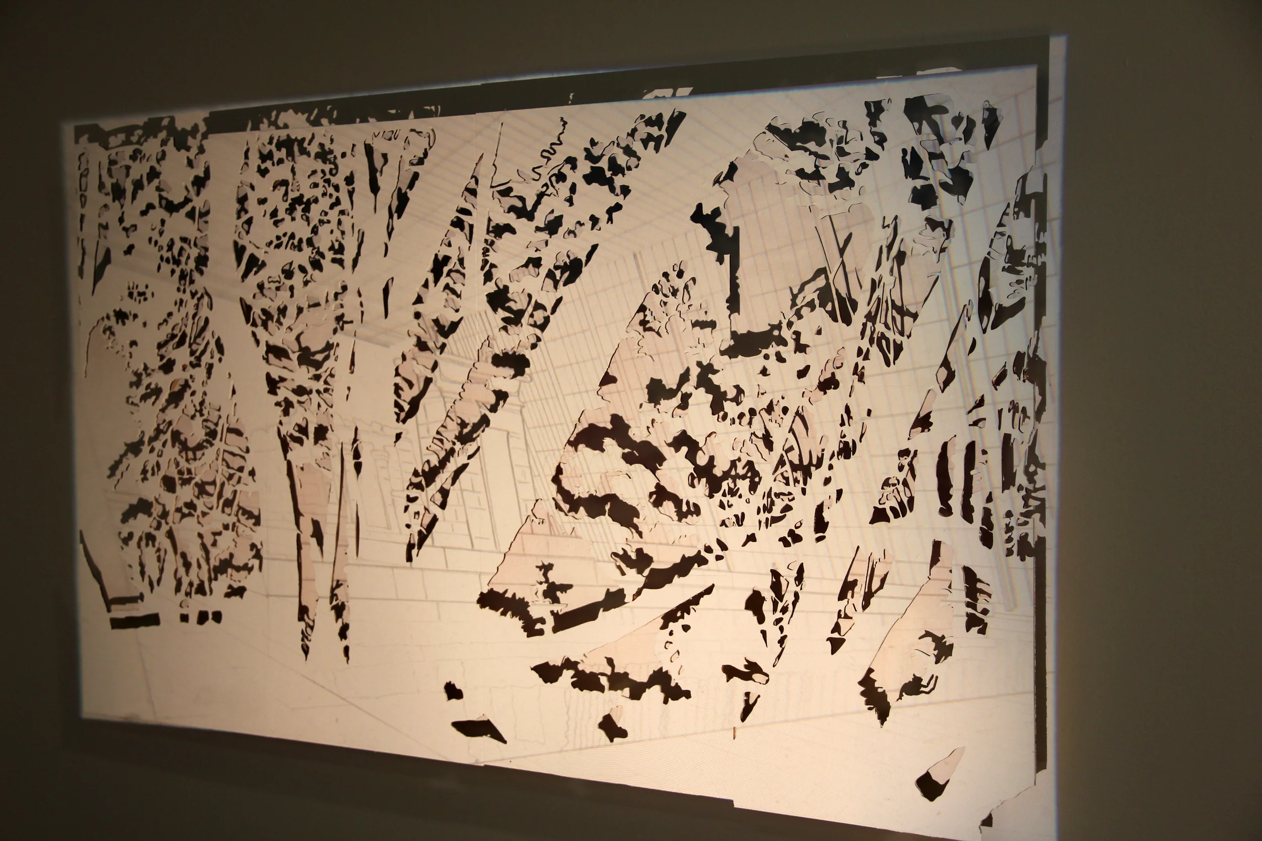   Ecology  Line drawing projection on laser cut plywood 40” x 60” 