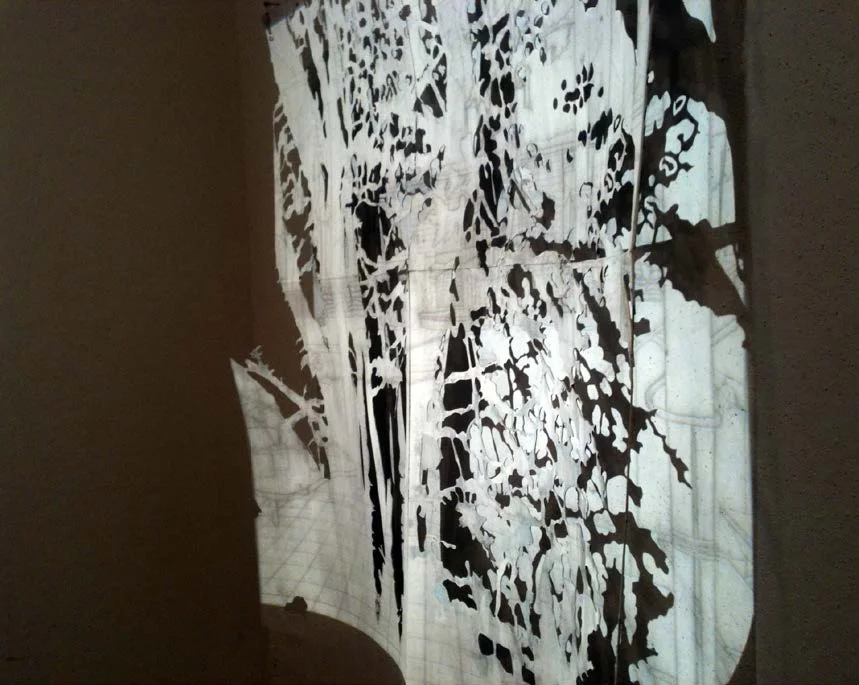   Winter Solstice  Line drawing projection on laser cut chipboard 40” x 40” 