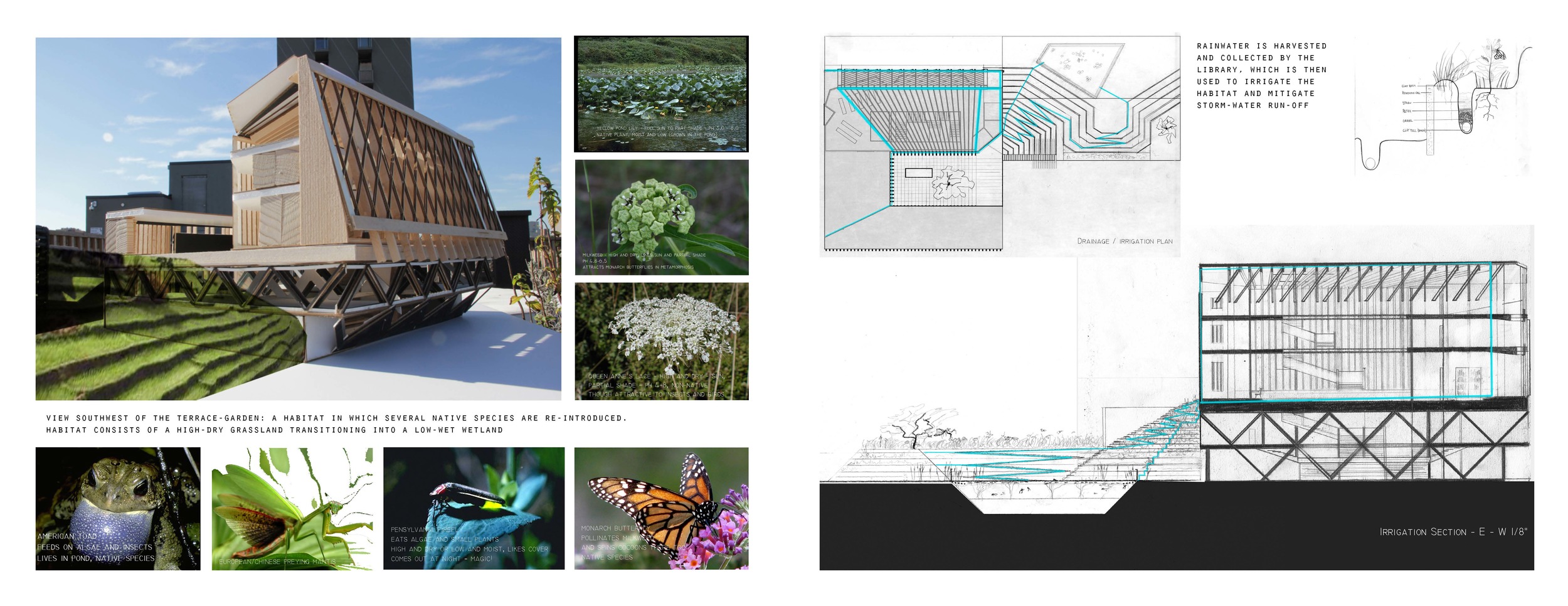 R.A.HARRISON.PORTFOLIO.perfect.binding 35.jpg