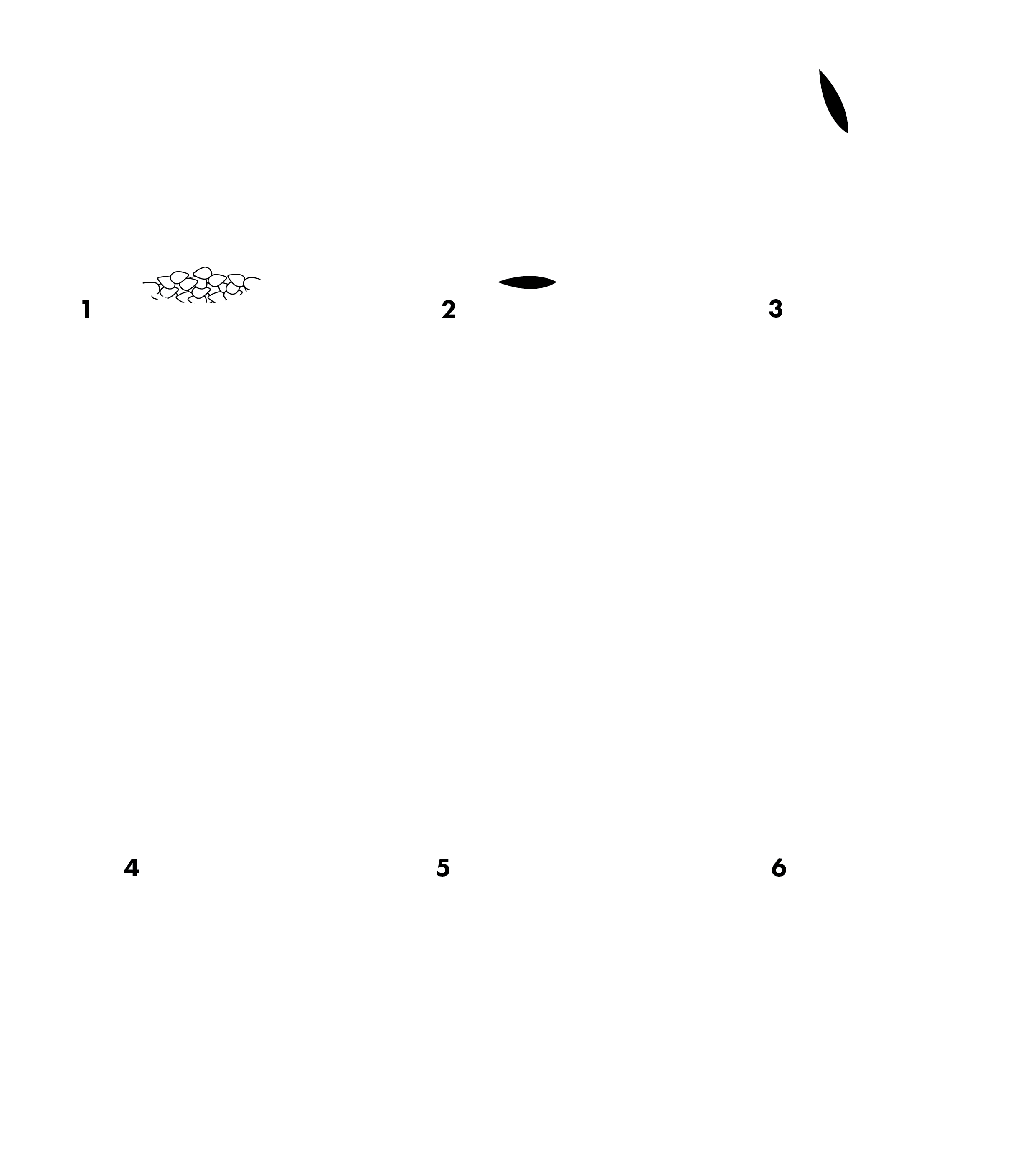 process web 3.png