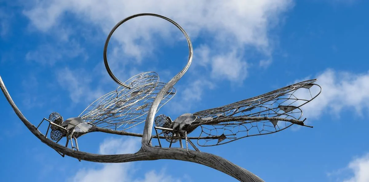 photo by mark jesser Border Mail.jpg