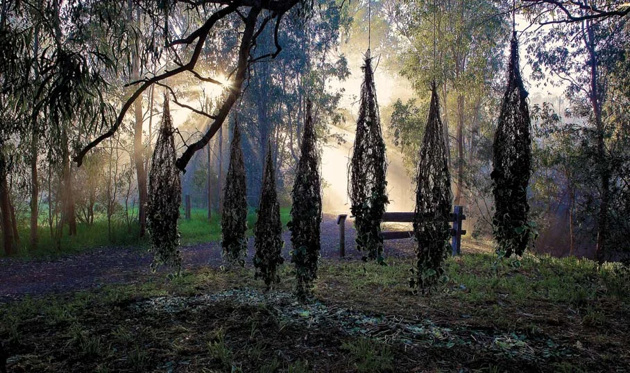 PodsArtinWetlands.jpg