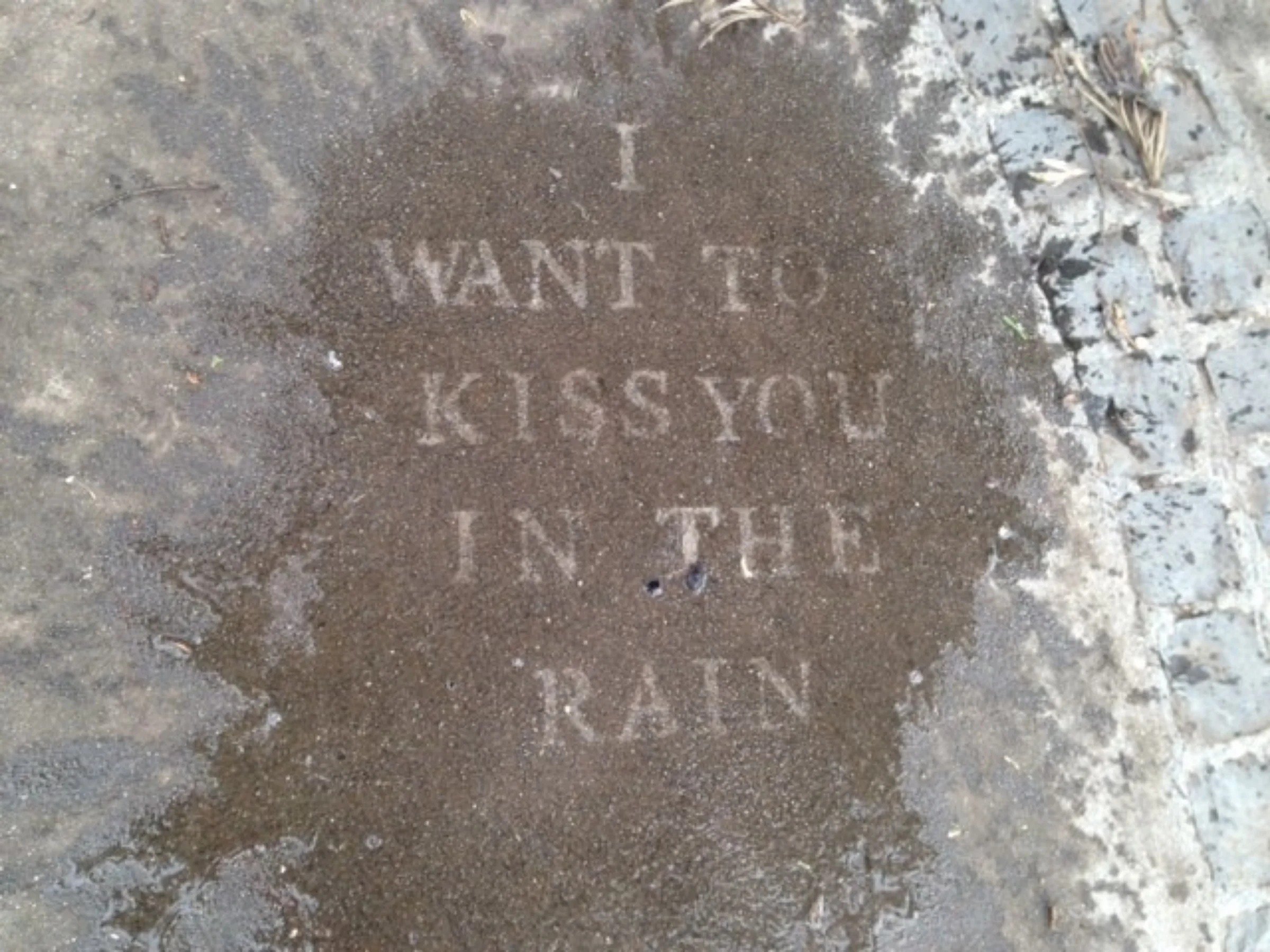 Linda Fish project Wodonga.jpg