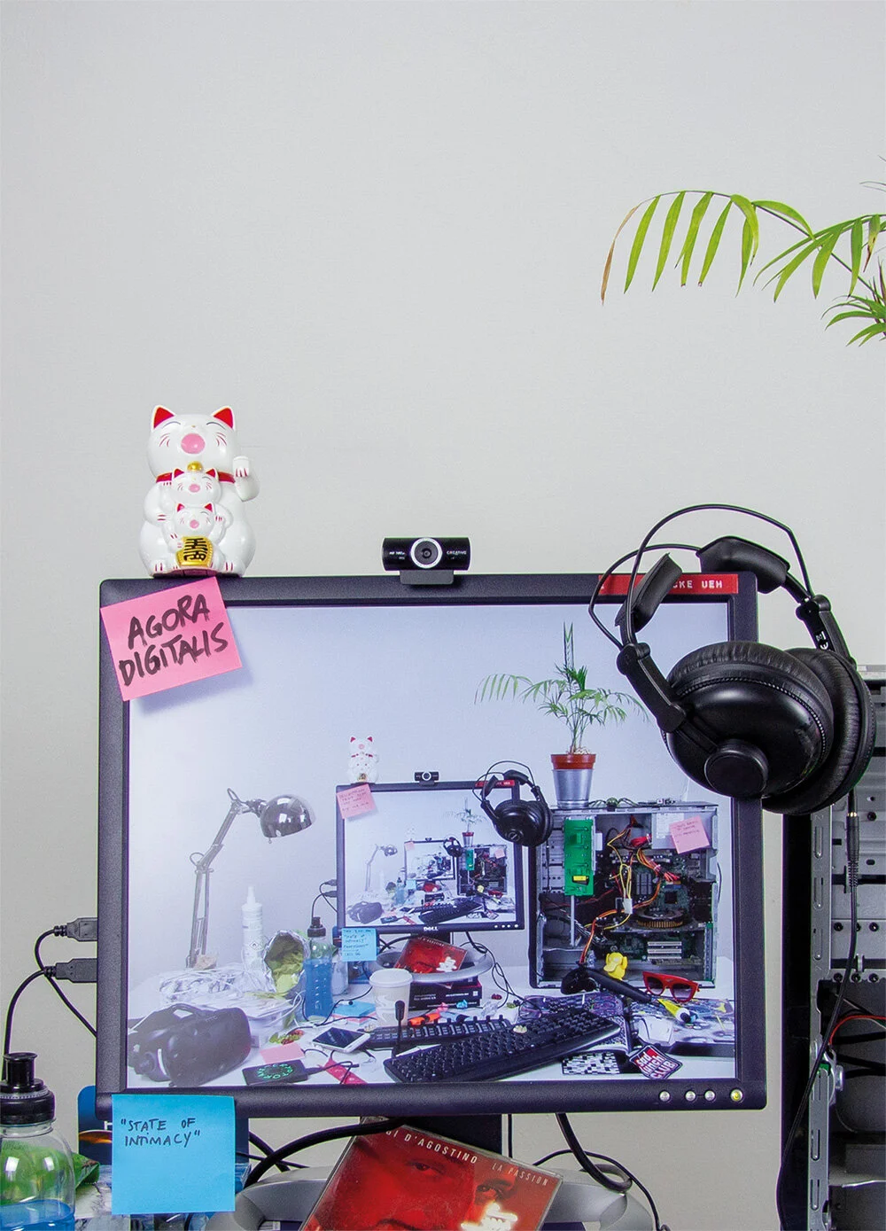 Track-track: Let’s follow the cat!  @AGORA DIGITALIS / Ars Electronica Festival 2020