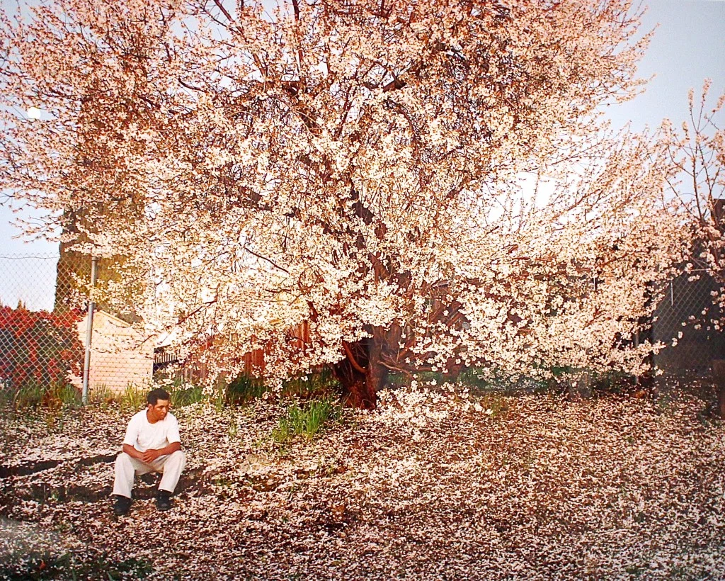Larry Sultan
