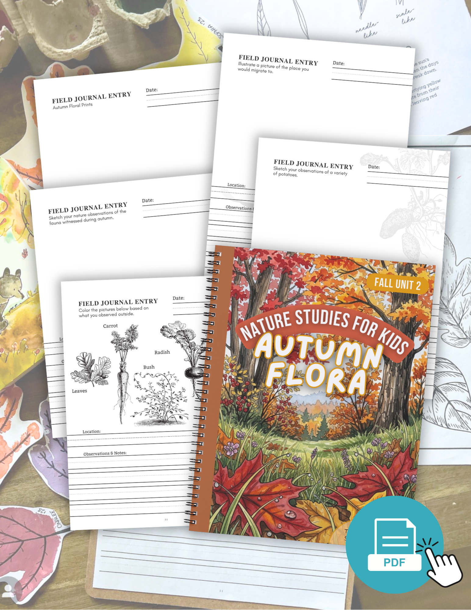 Autumn Flora - Autumn Week 2