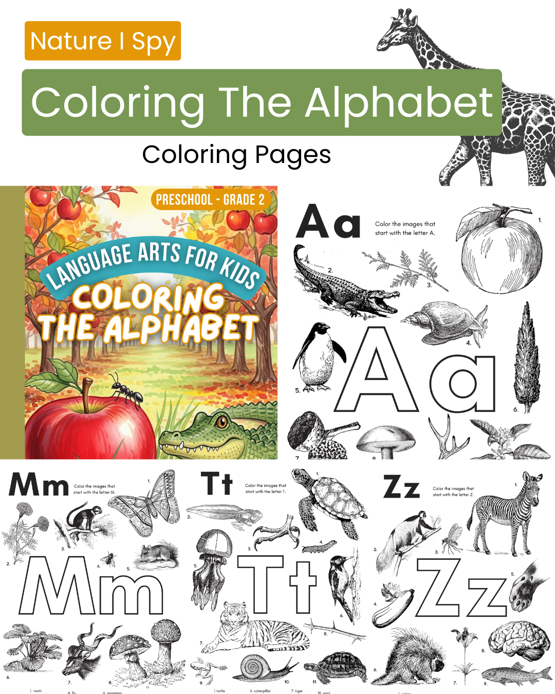Colouring The Alphabet