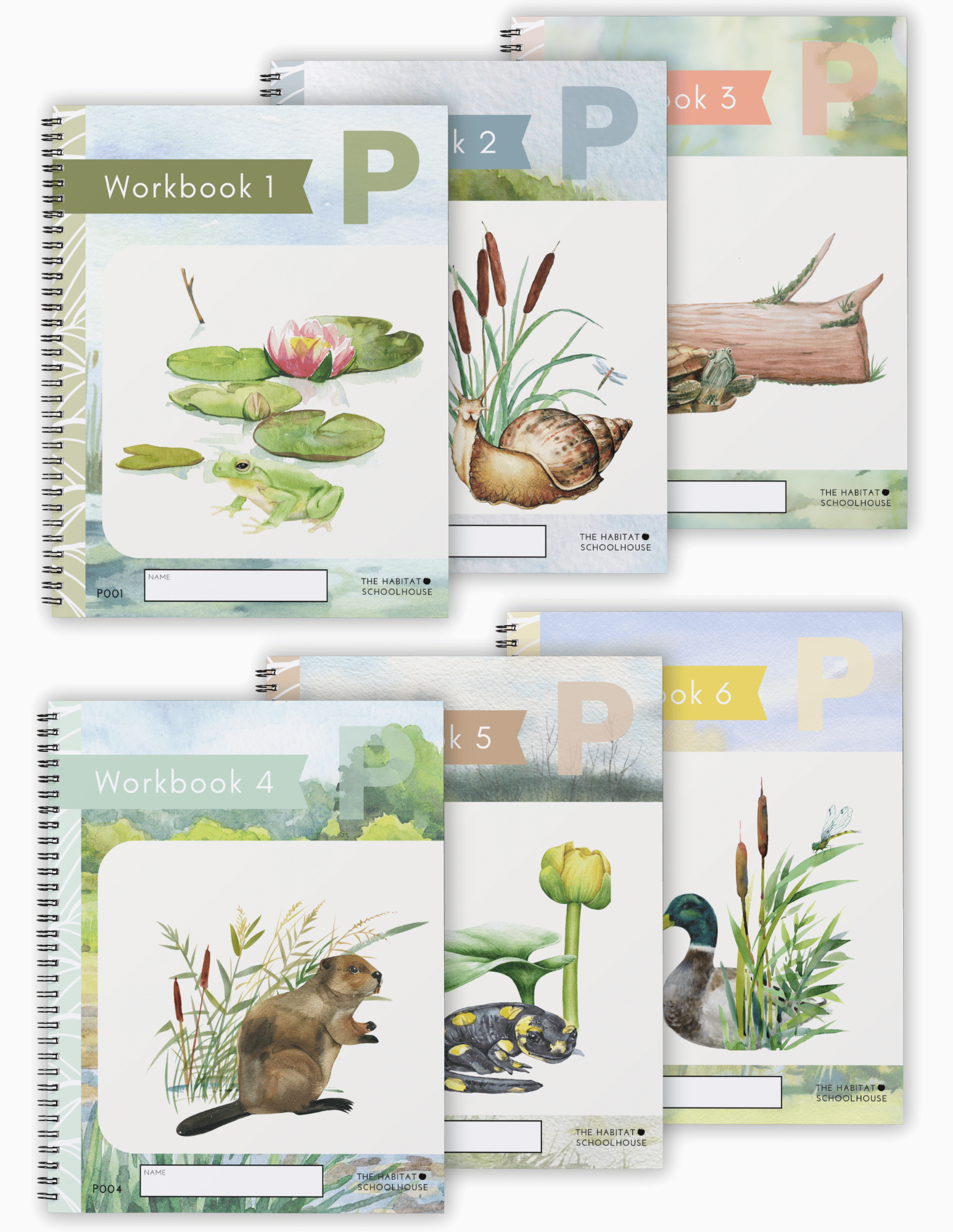 Preschool Curriculum