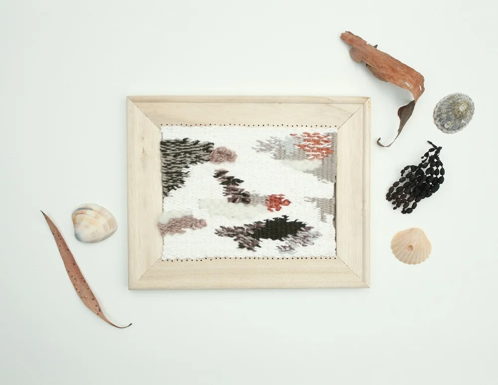 Tidal_detritus_on_Little_Oberon_Bay_weaving_2_-_Copy